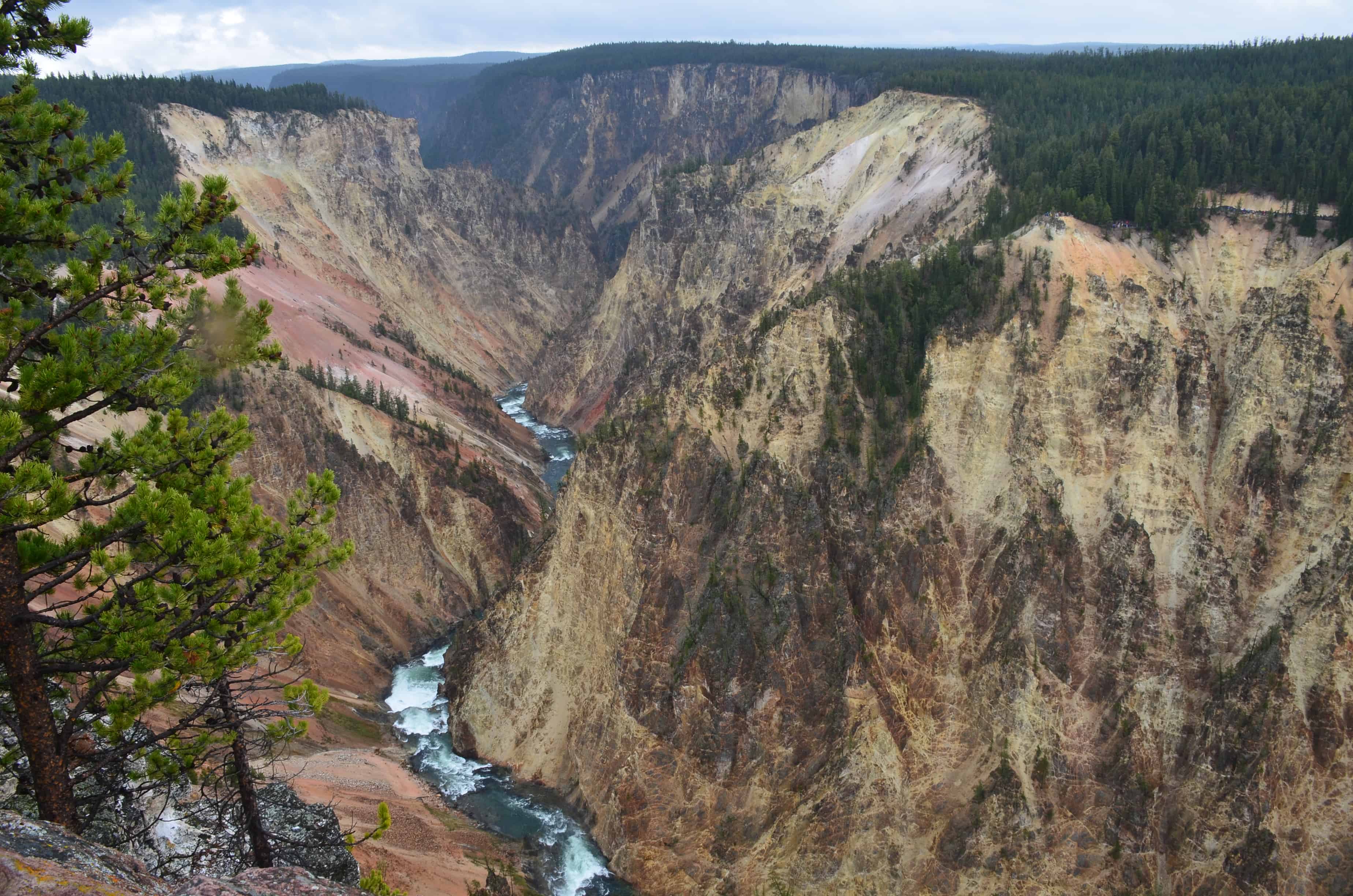Grand View at Grand Canyon of the Yellowstone in Yellowstone National Park, Wyoming