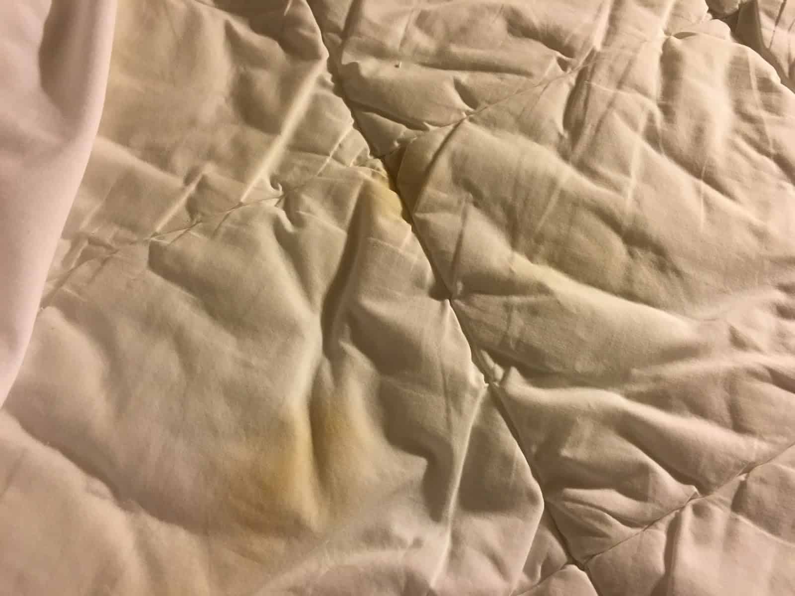 Urine soaked sheets at Rodeway Inn in Española, New Mexico