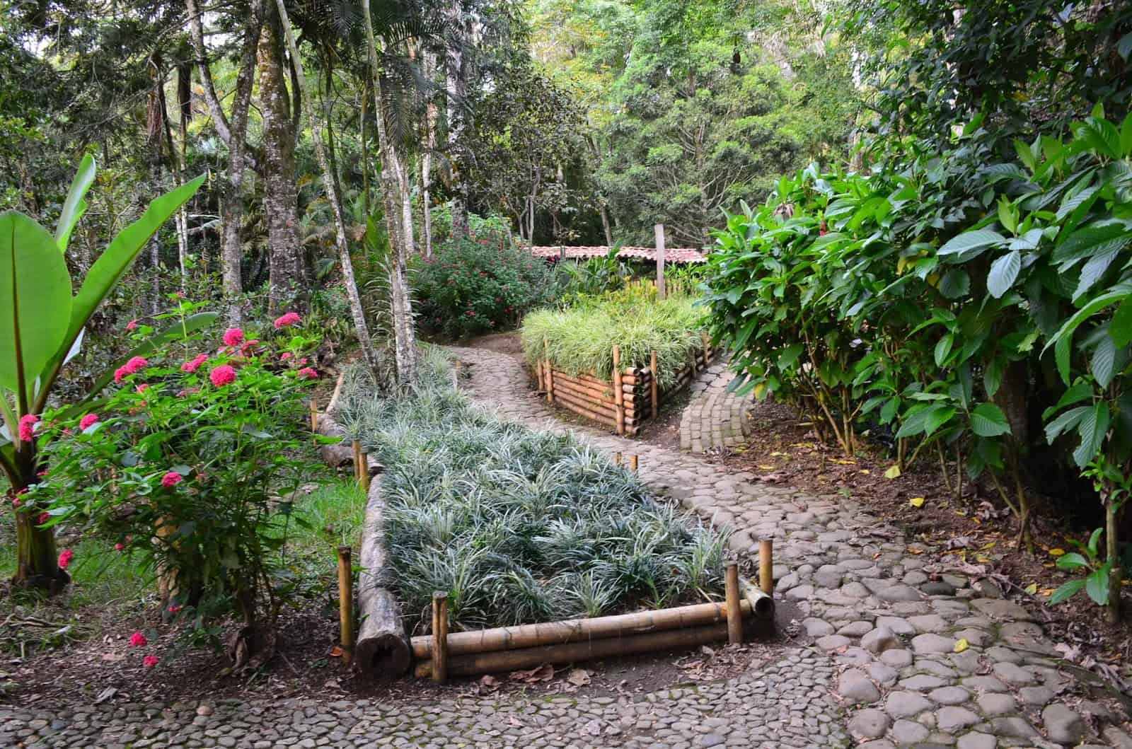 Botanical Garden in Jericó, Antioquia, Colombia
