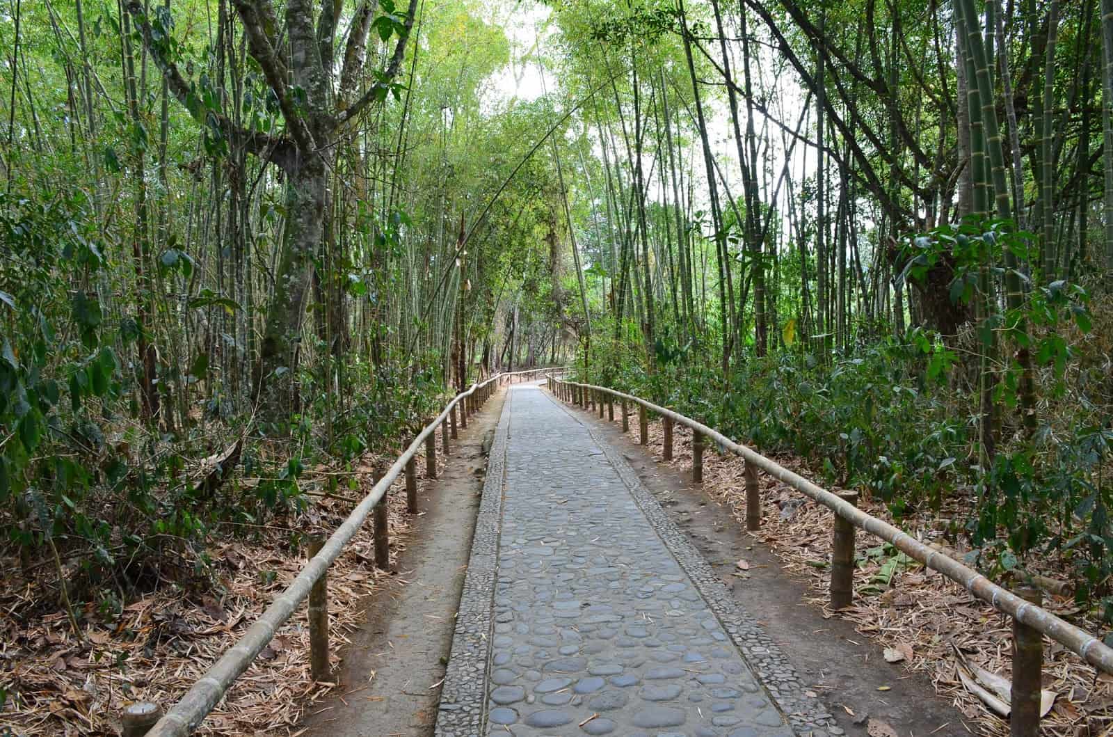 Path to Mesita A at San Agustín Archaeological Park in Huila, Colombia