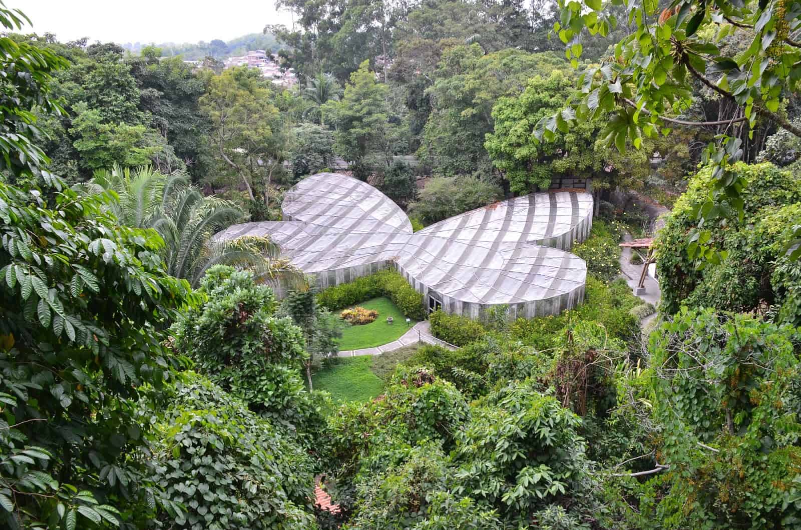 Butterfly House at Quindío Botanical Garden