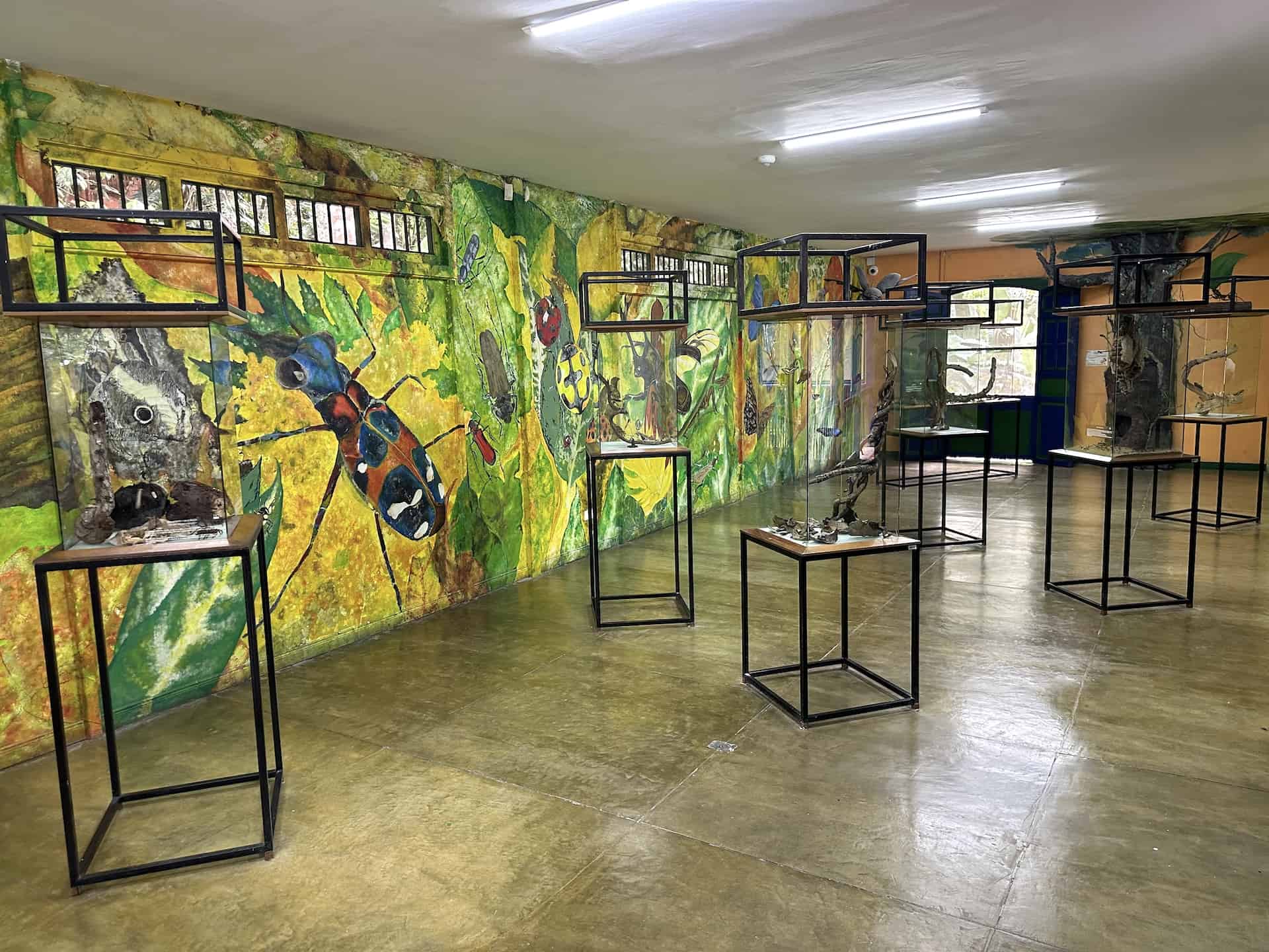 Insectarium at the Quindío Botanical Garden in Calarcá, Colombia
