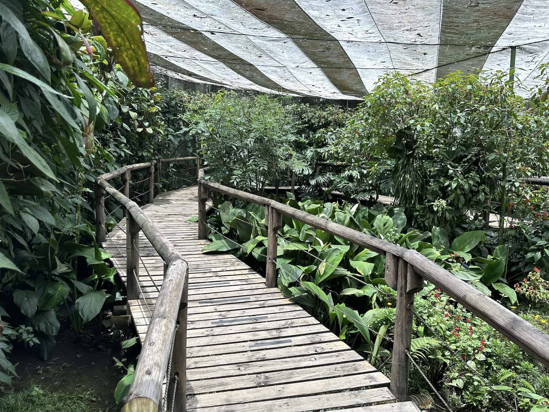 Butterfly House at the Quindío Botanical Garden in Calarcá, Colombia