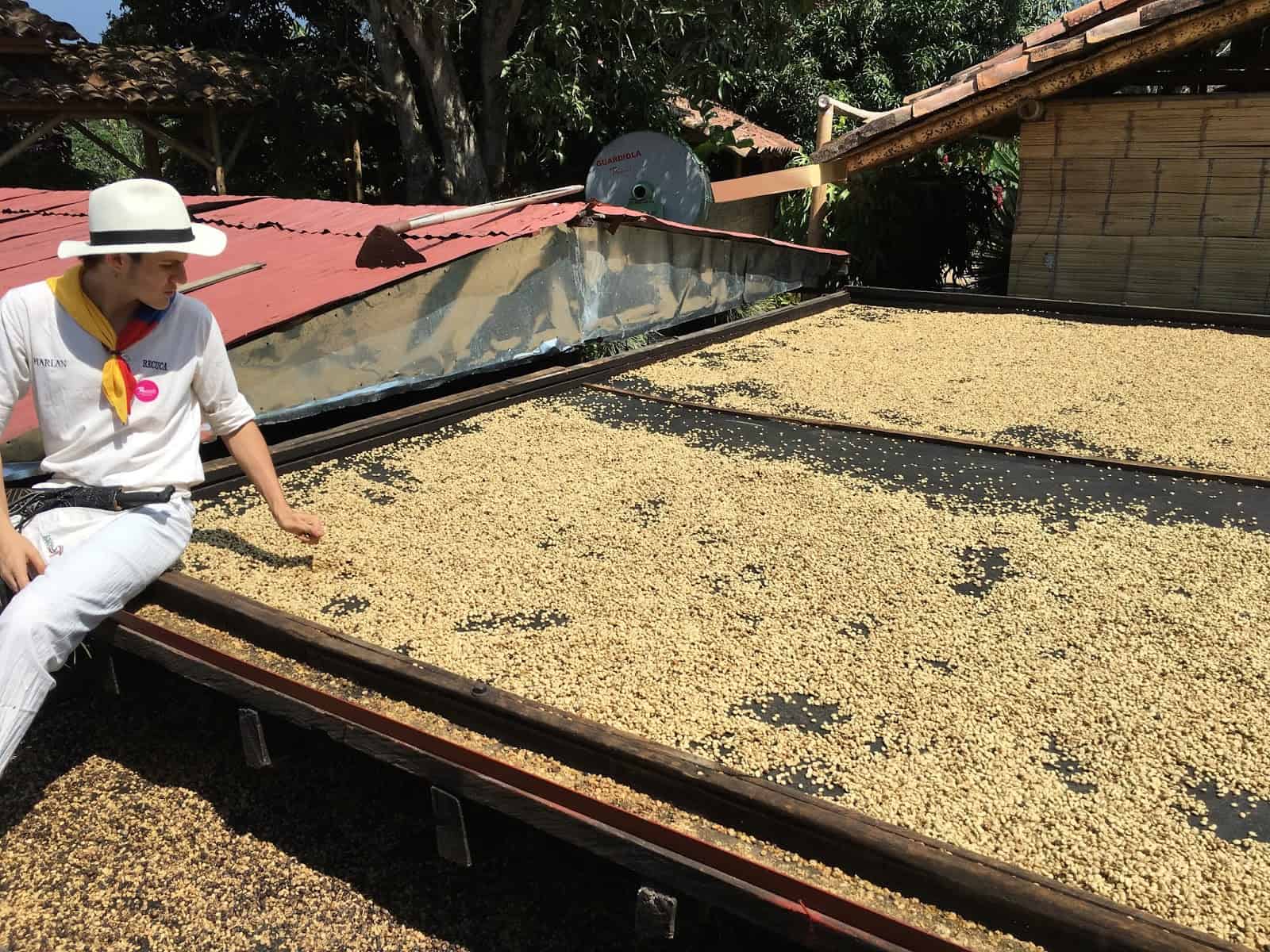 Drying the coffee at Recuca