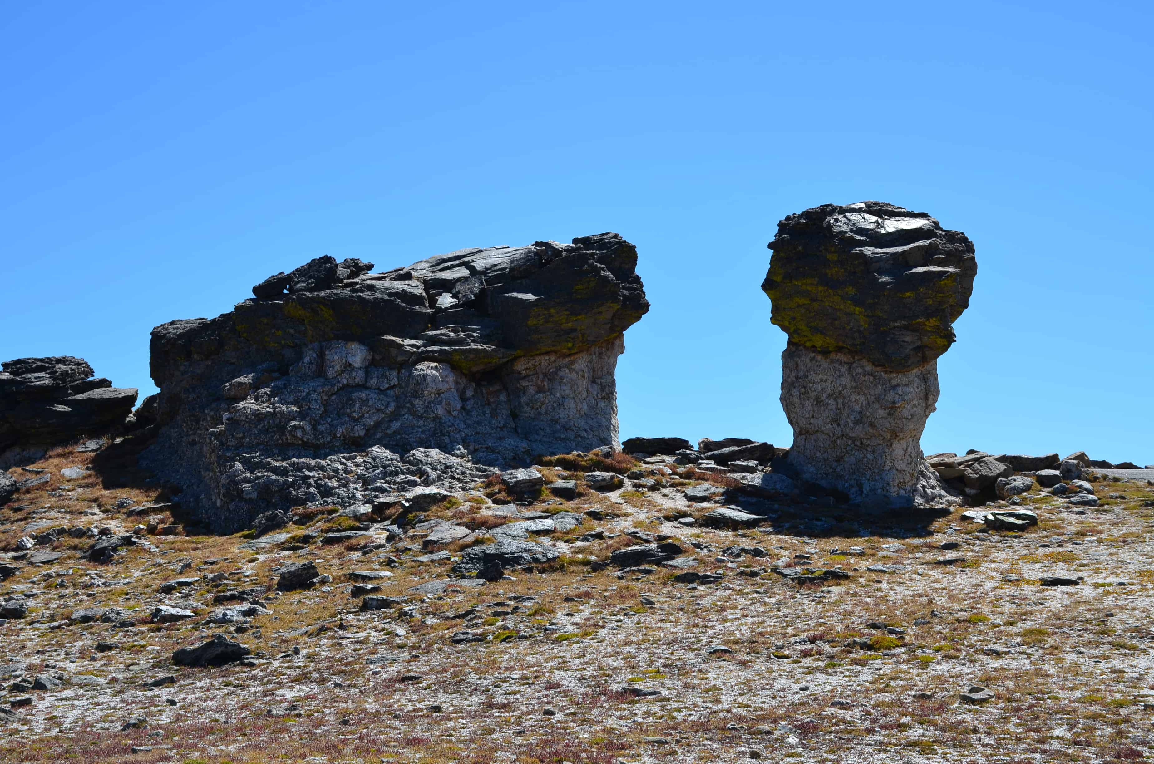 Mushroom Rocks on the Tundra Communities trail on Trail Ridge Road in Rocky Mountain National Park, Colorado