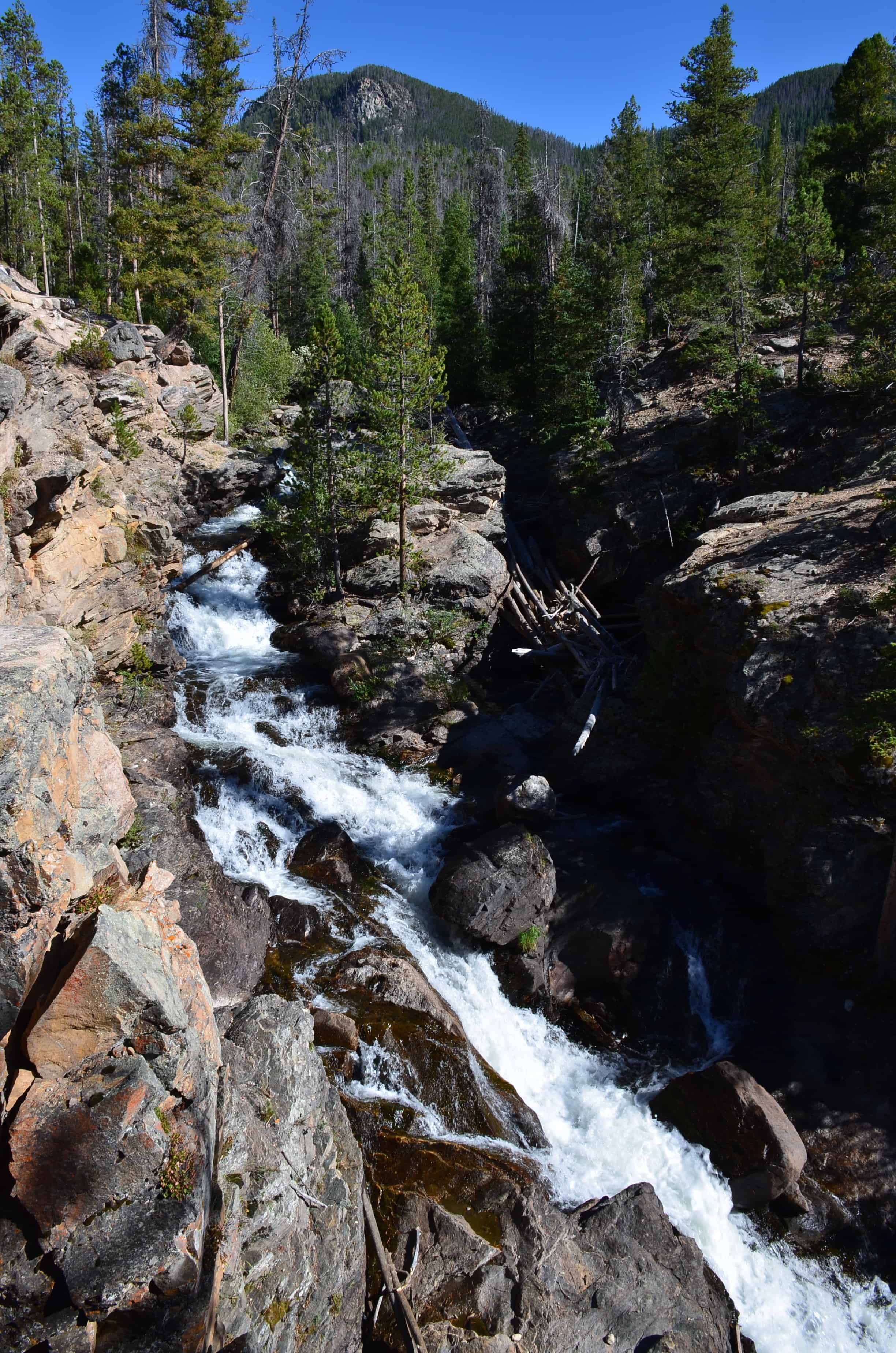 Adams Falls on East Inlet Trail in Rocky Mountain National Park, Colorado