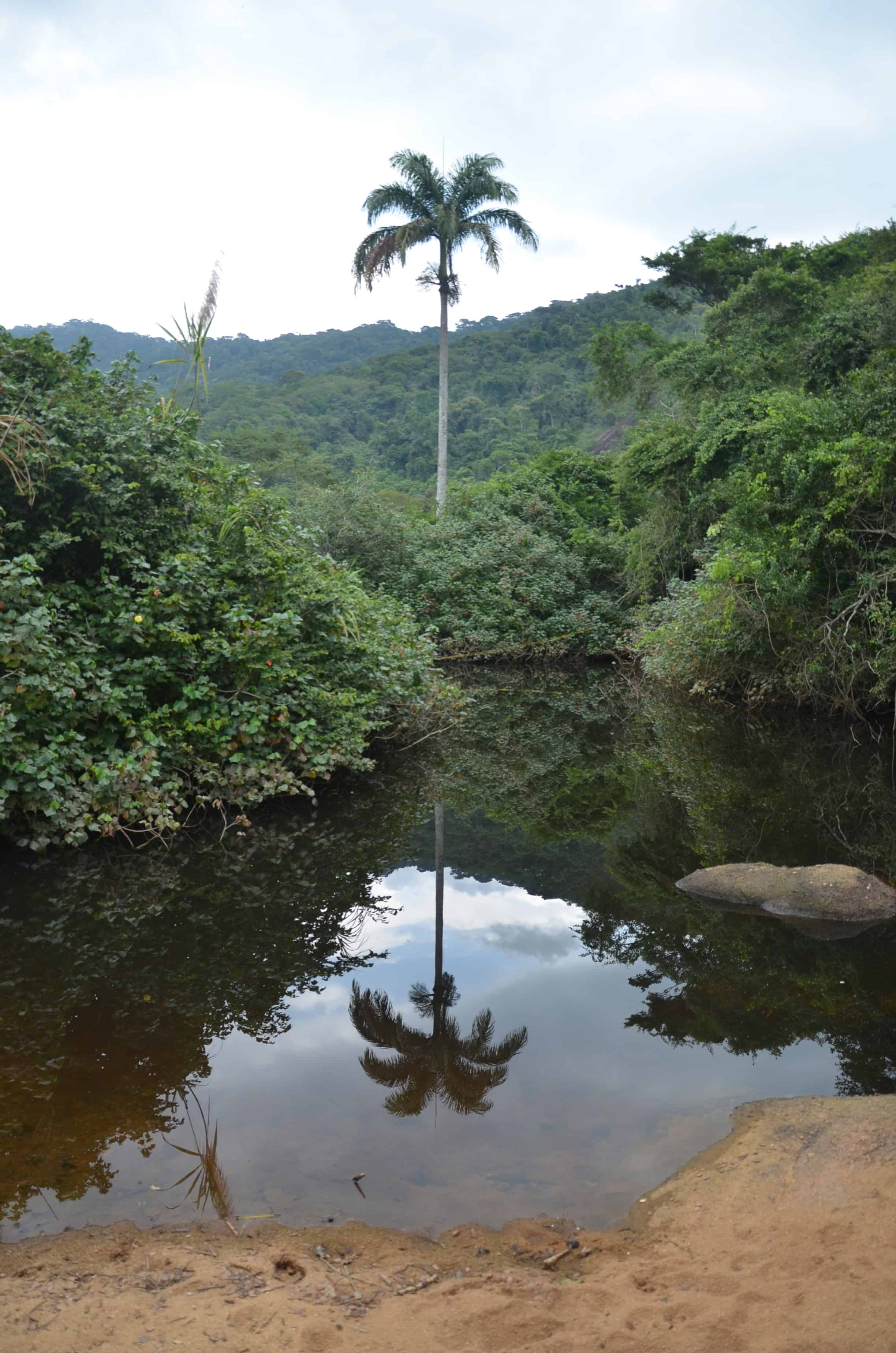 Palms Beach on Ilha Grande, Brazil