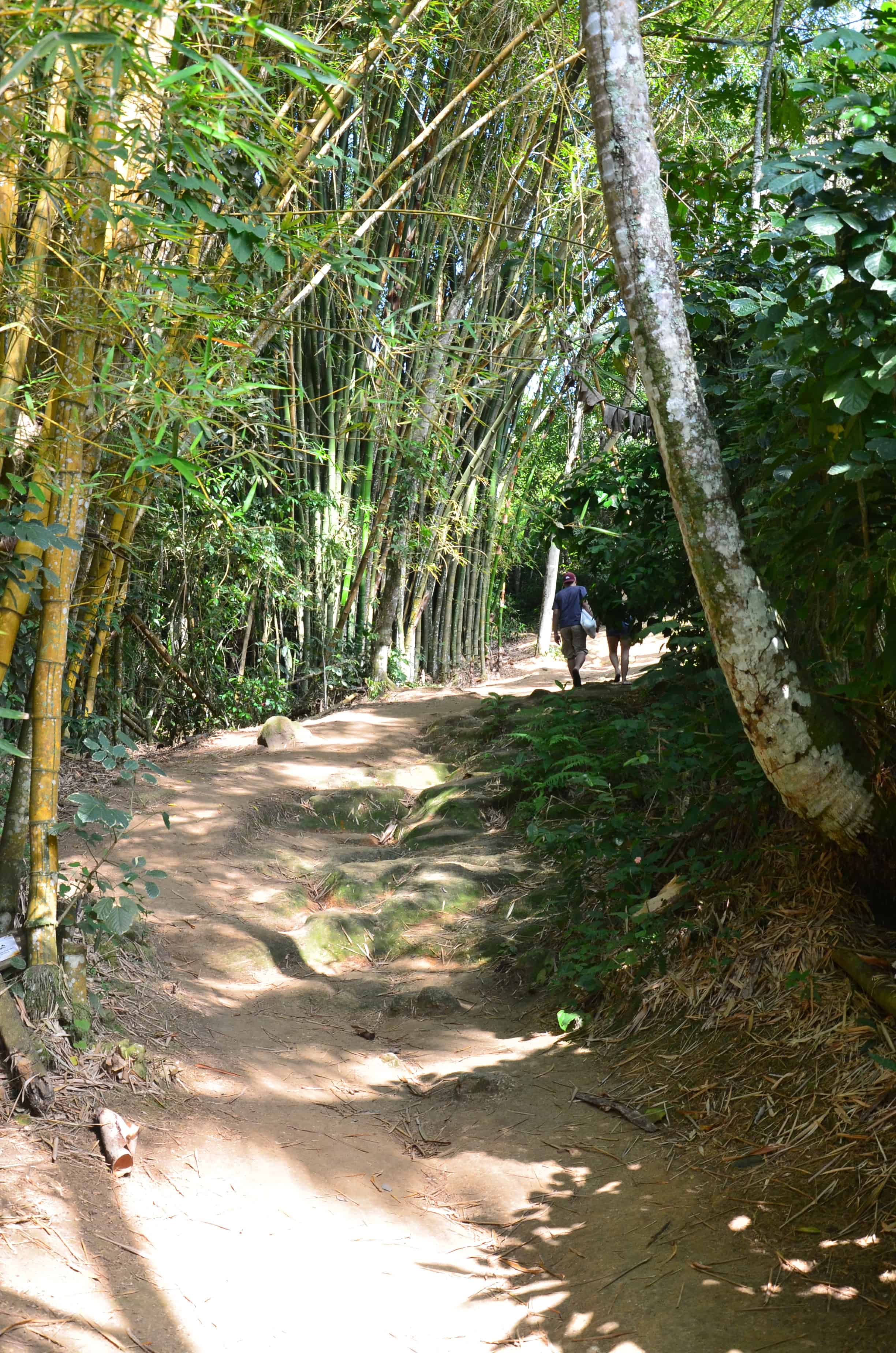 The trail to Praia Lopes Mendes on Ilha Grande, Brazil