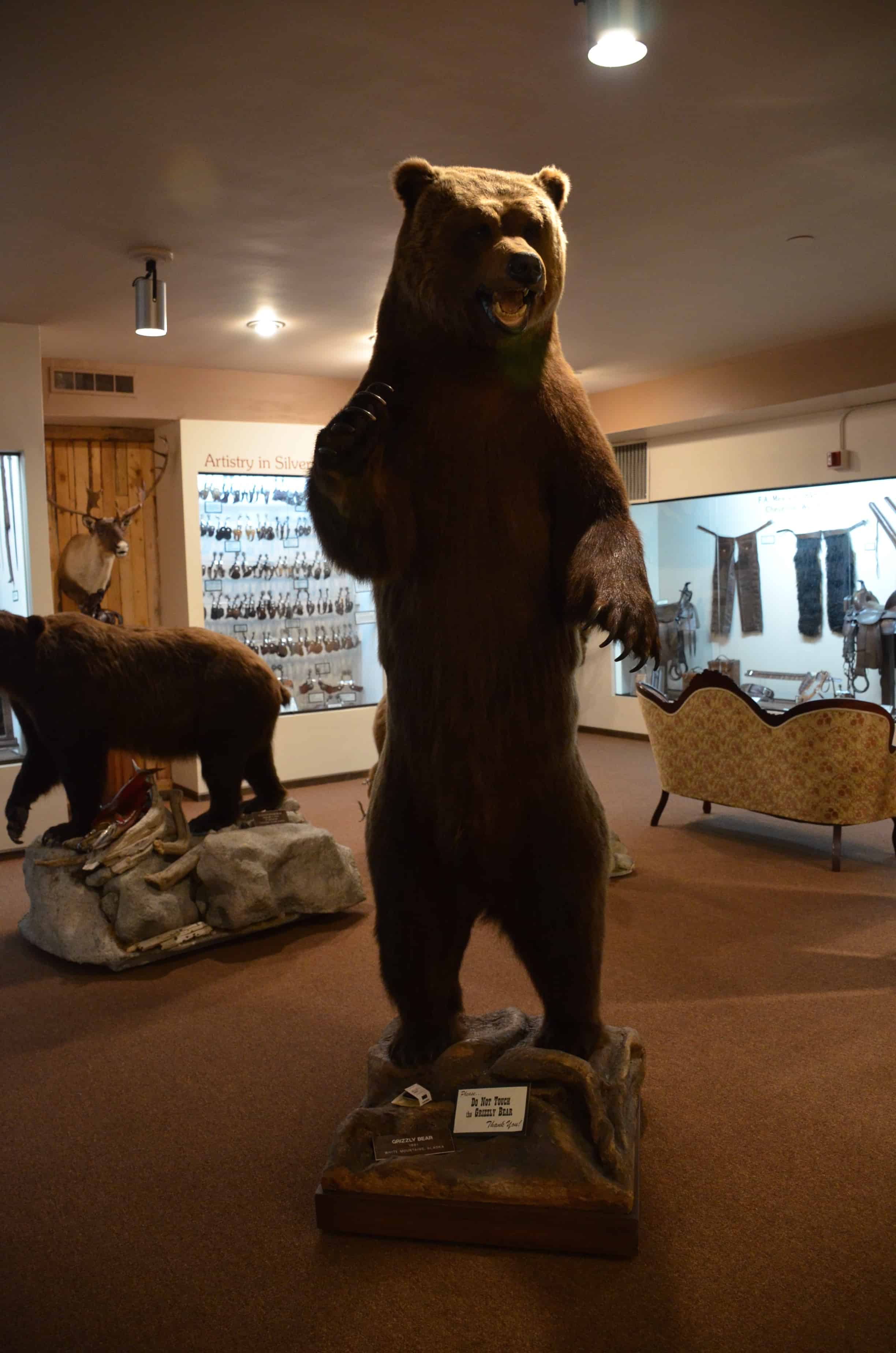 Grizzly bear at the Nelson Museum of the West in Cheyenne, Wyoming