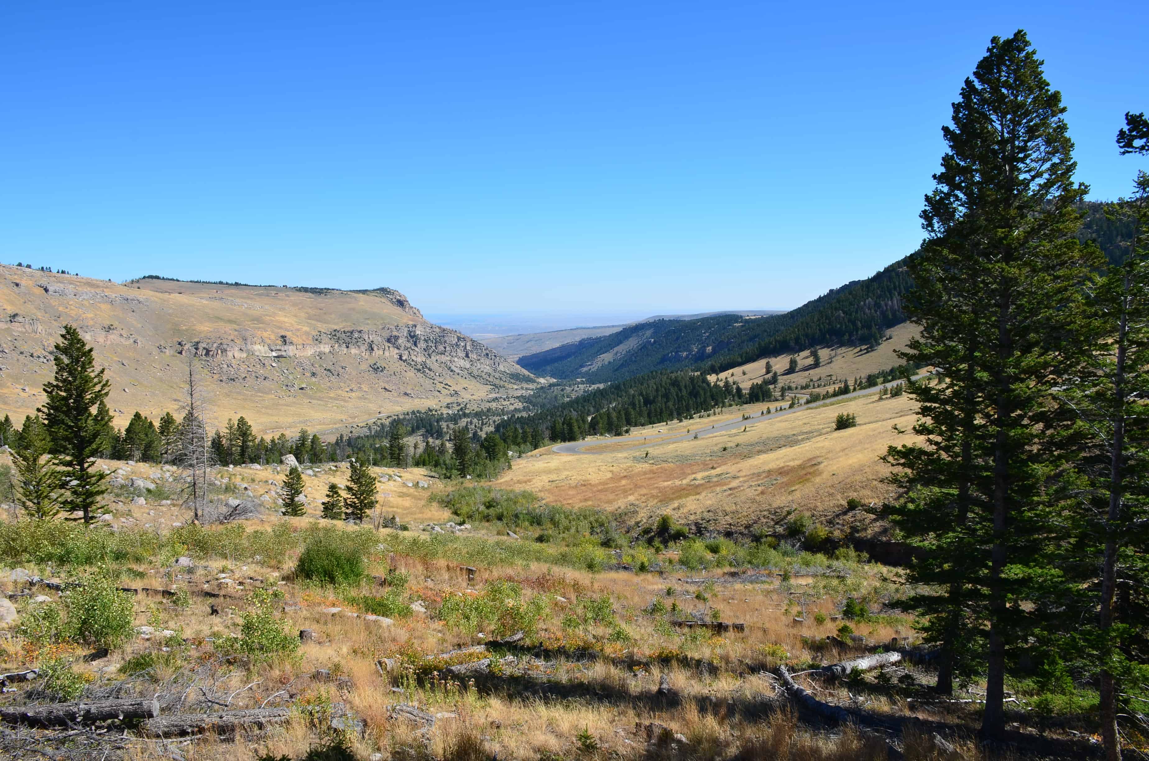 Shoshone National Forest on The Loop Road in Wyoming
