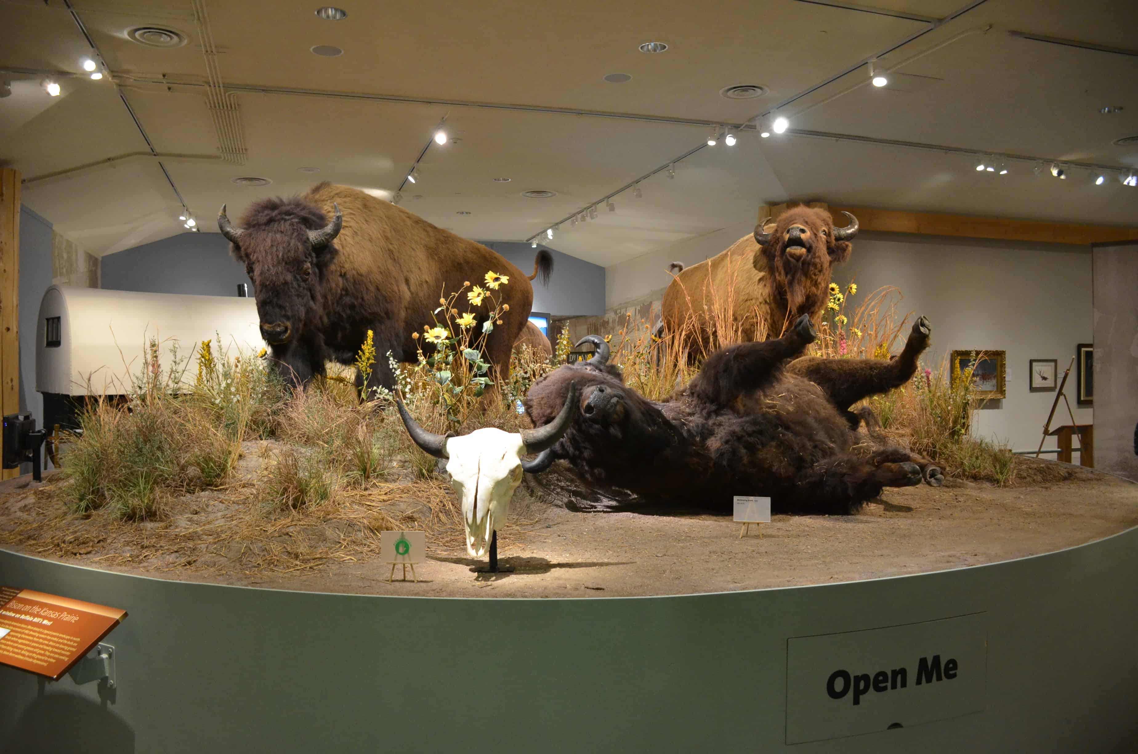 Draper Natural History Museum at the Buffalo Bill Center of the West in Cody, Wyoming