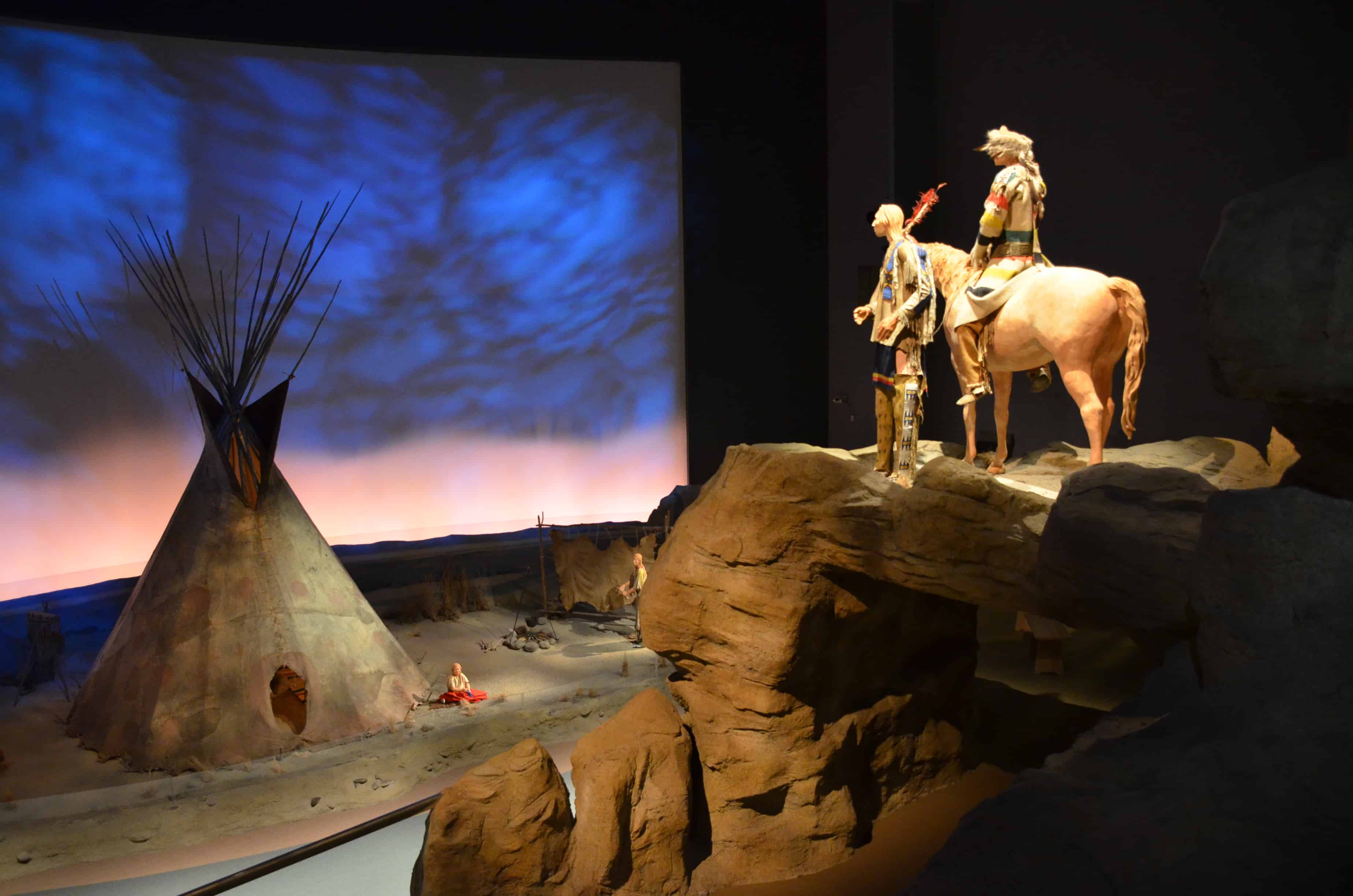 Eagle Size, Taxonomy, and Exceptions - Buffalo Bill Center of the West
