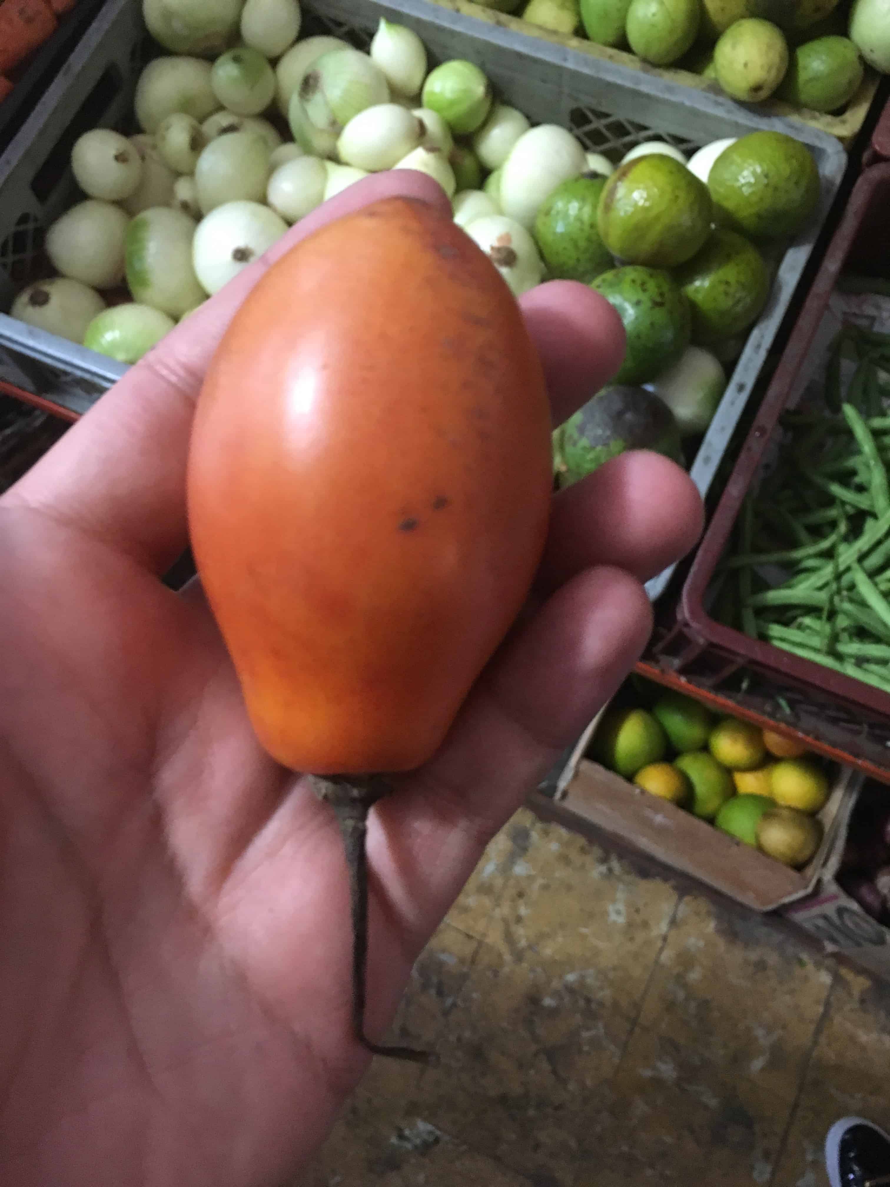 Tomate de árbol Fruit in Colombia