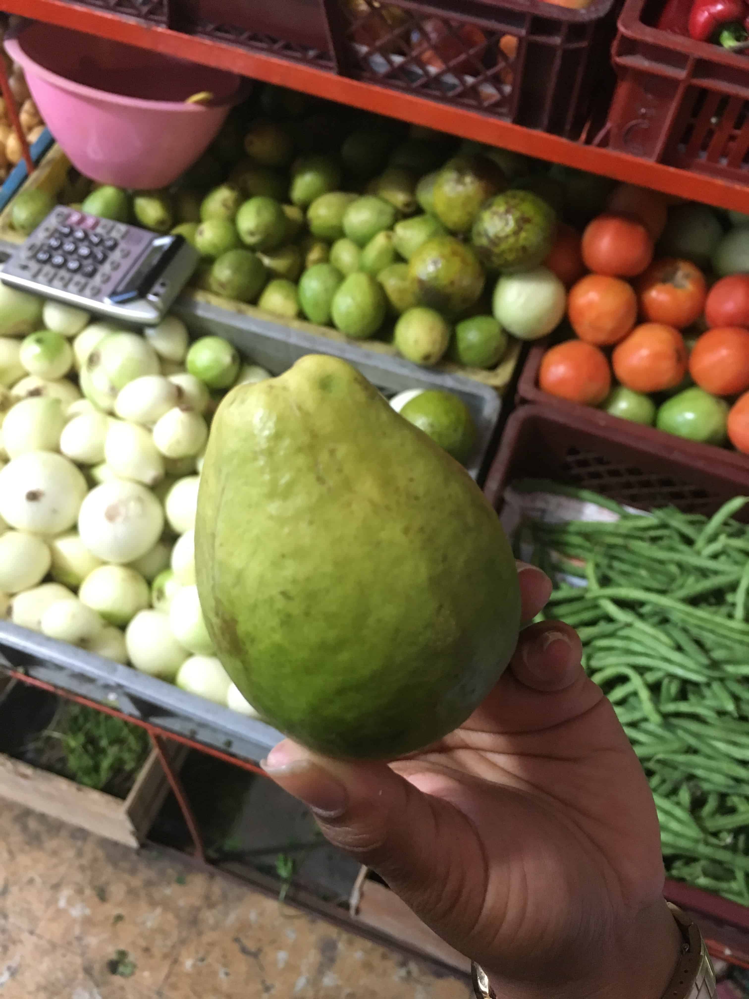Guava Fruit in Colombia