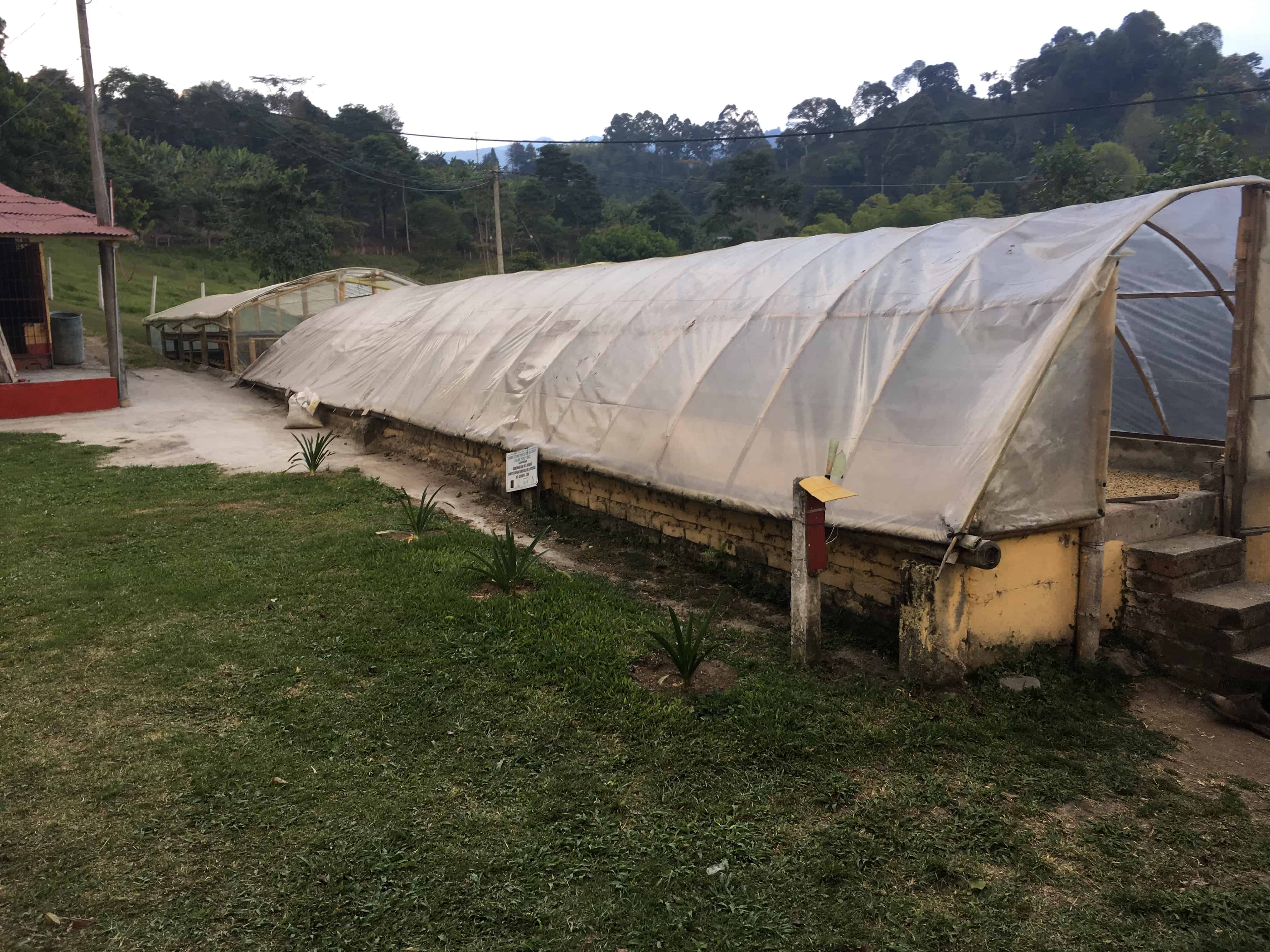 Coffee processing area at Finca El Ocaso in Salento, Quindío, Colombia