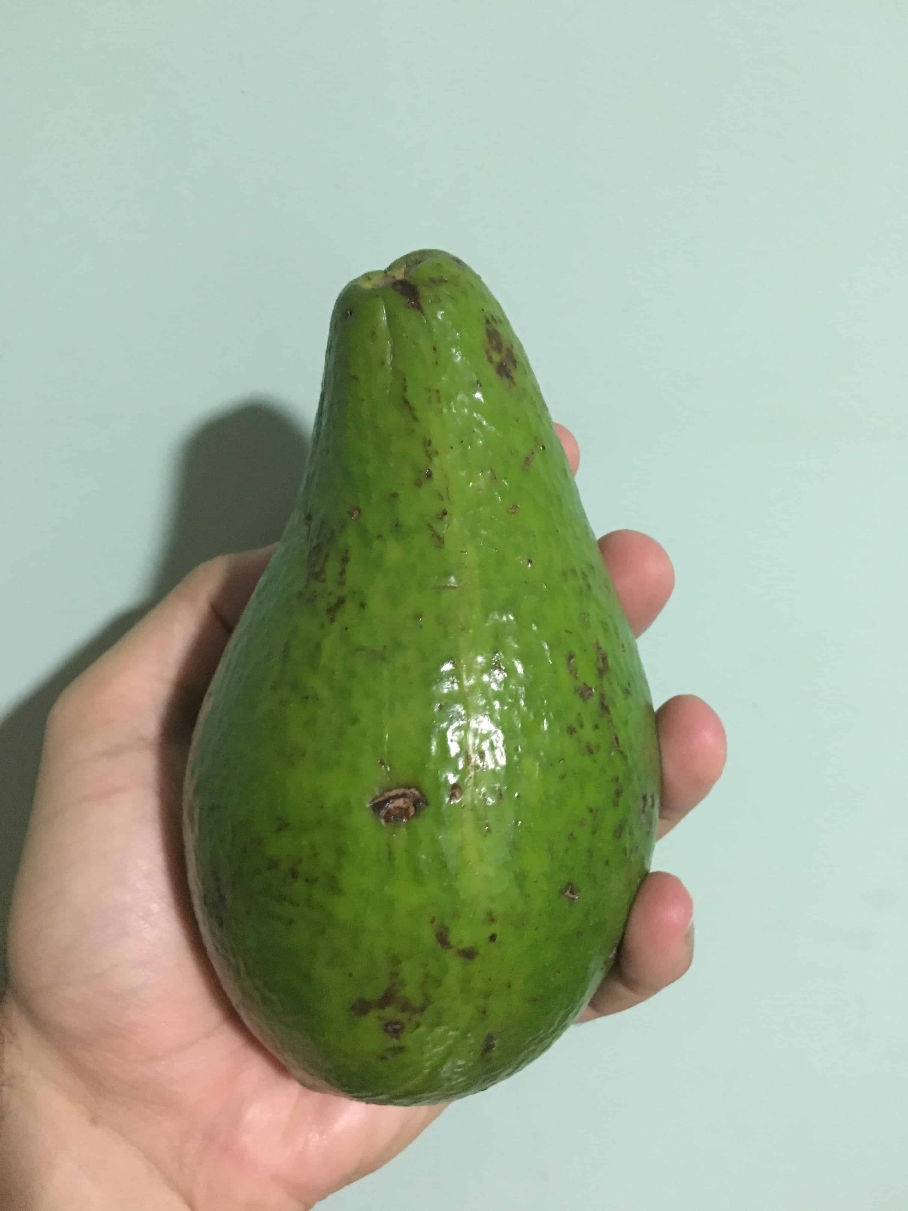 Aguacate Fruit in Colombia