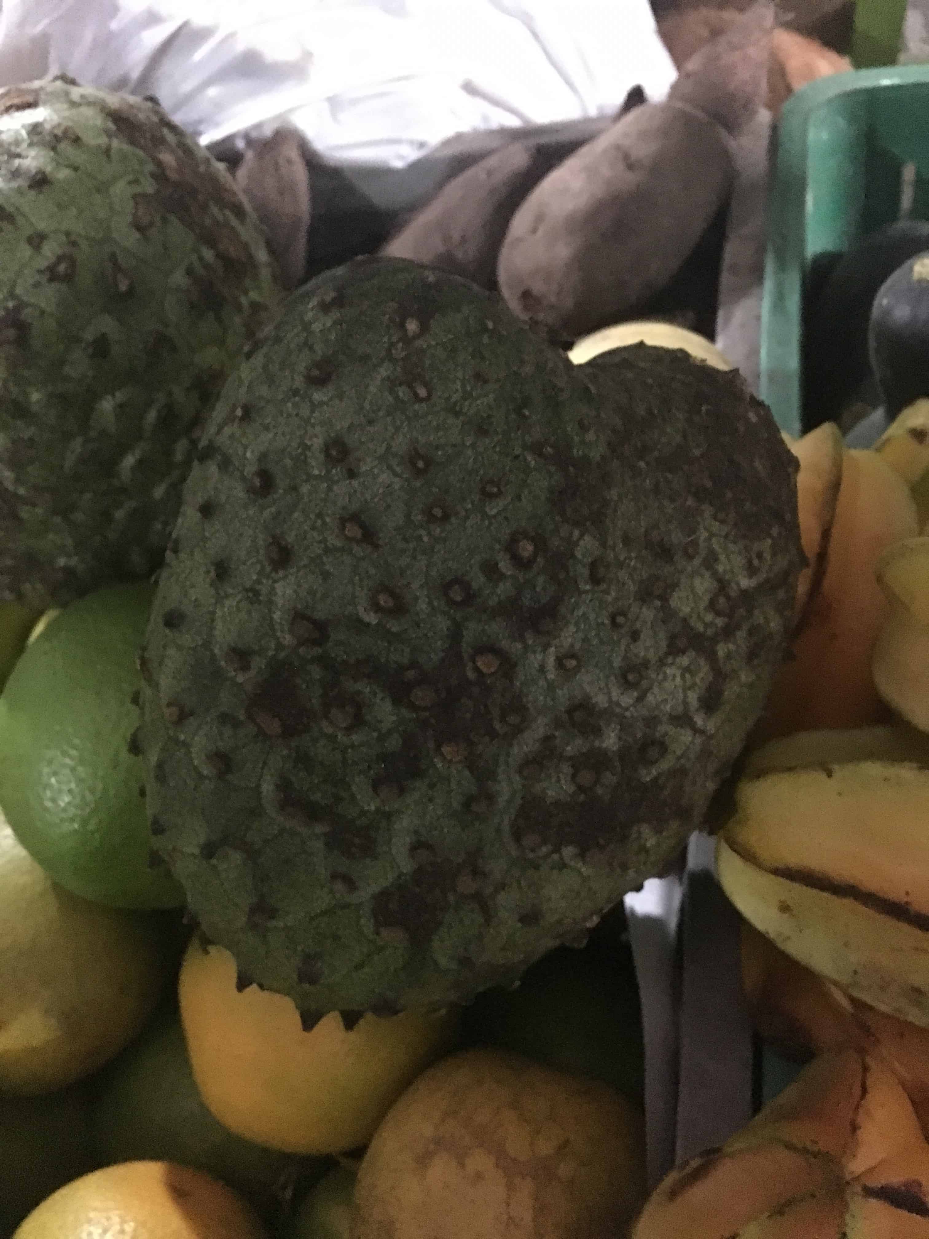 Guanábana Fruit in Colombia