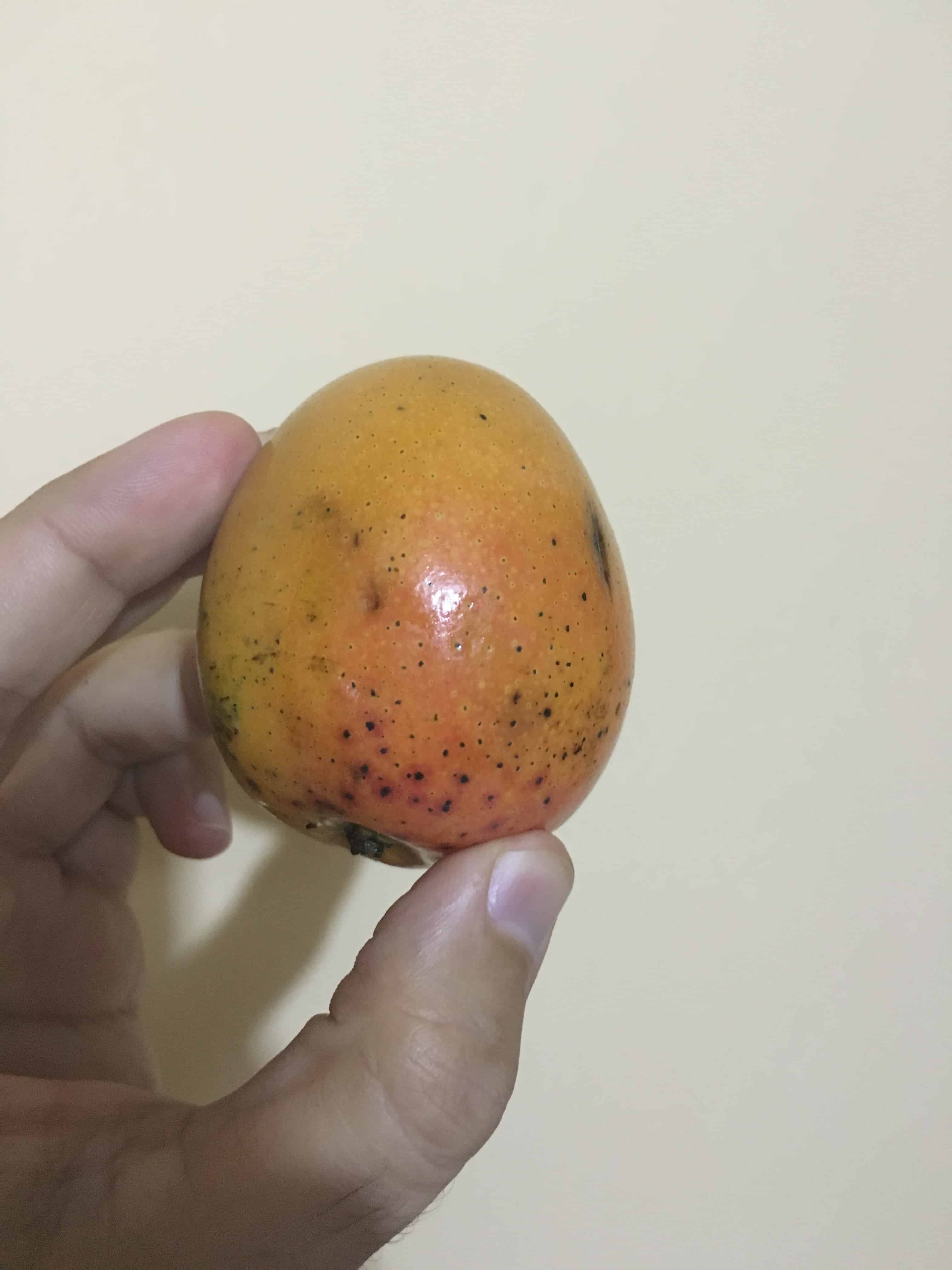 Mango criollo Fruit in Colombia