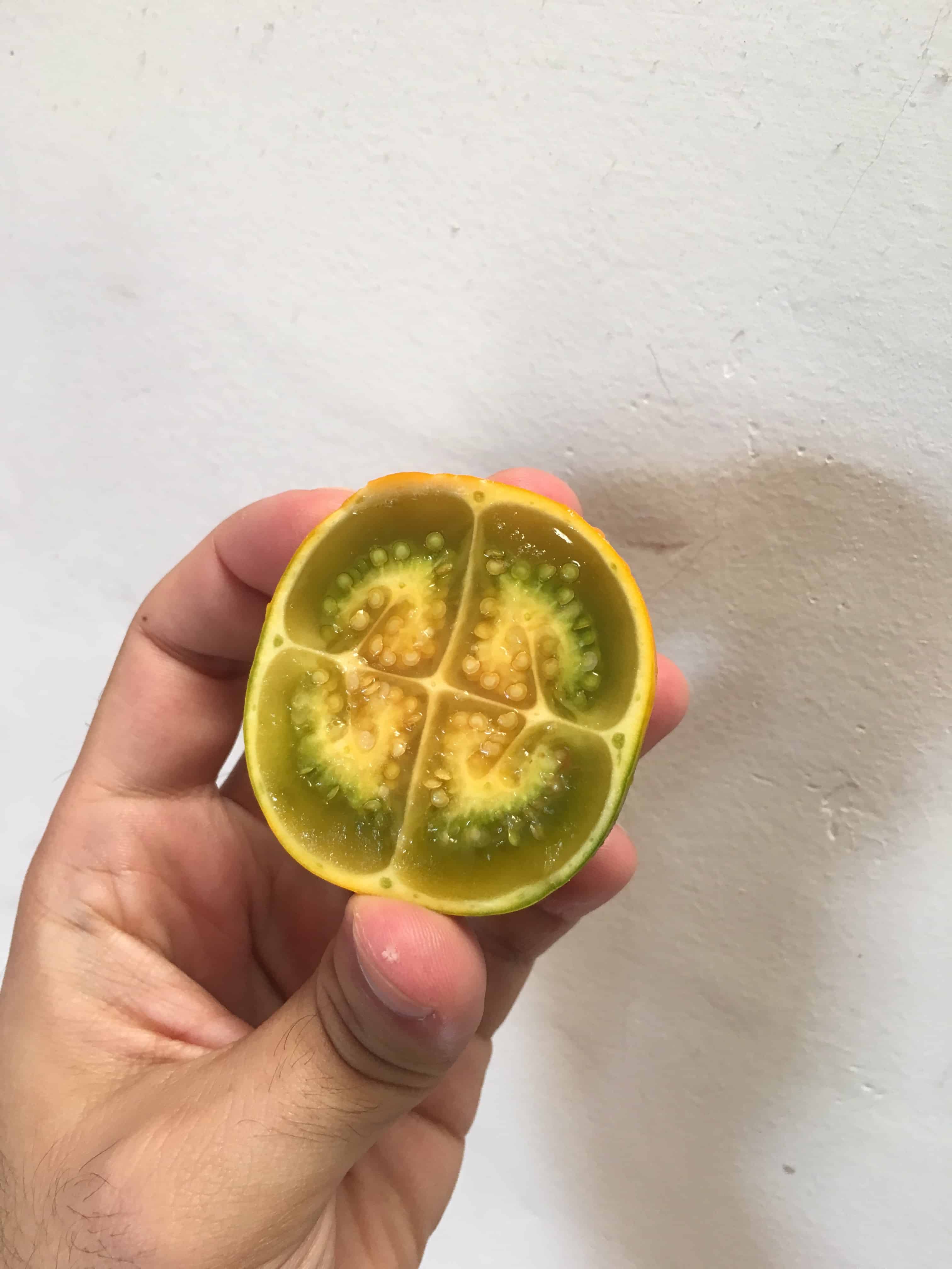 Lulo Fruit in Colombia