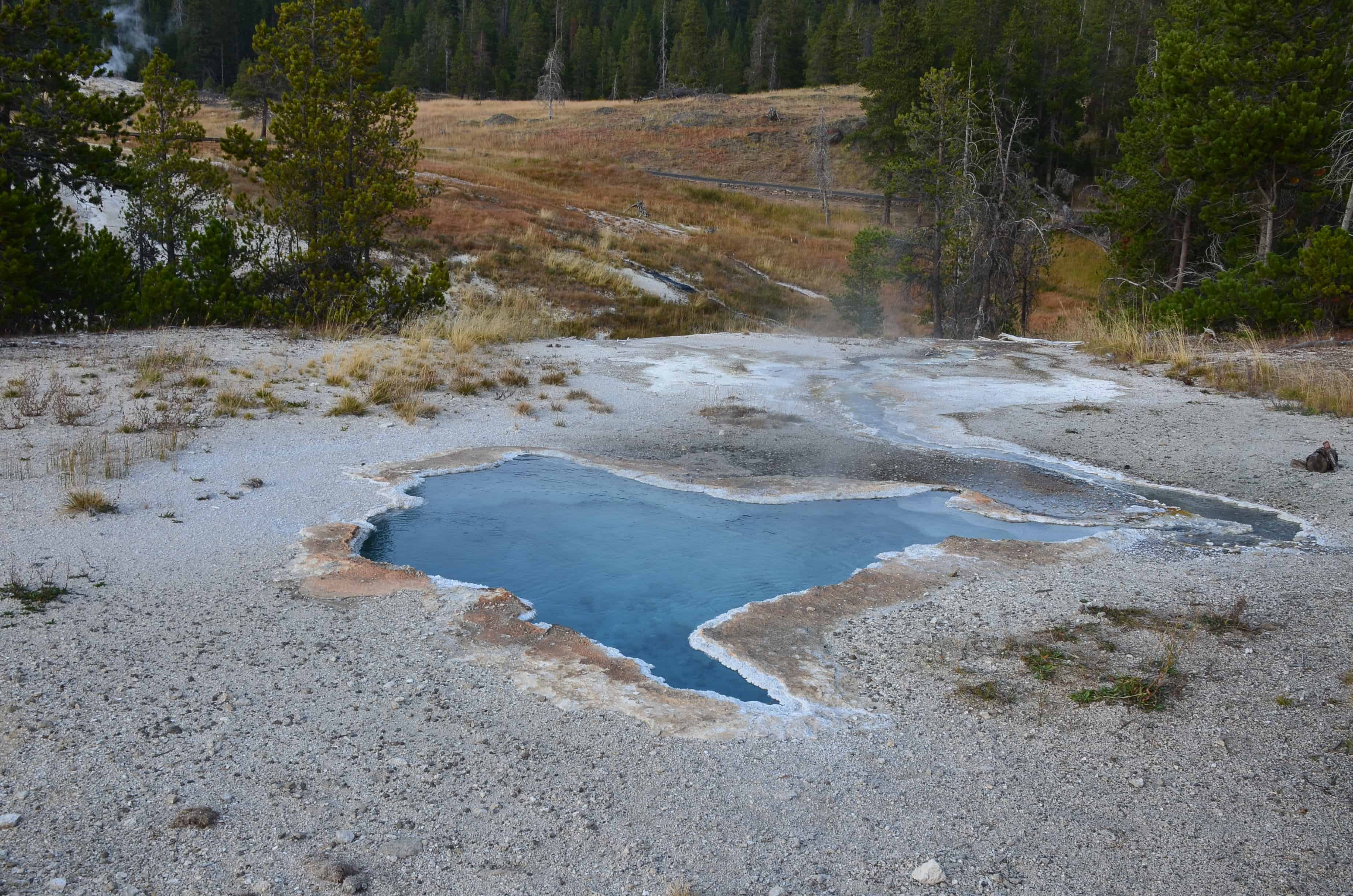 Blue Star Spring at the Upper Geyser Basin in Yellowstone National Park, Wyoming