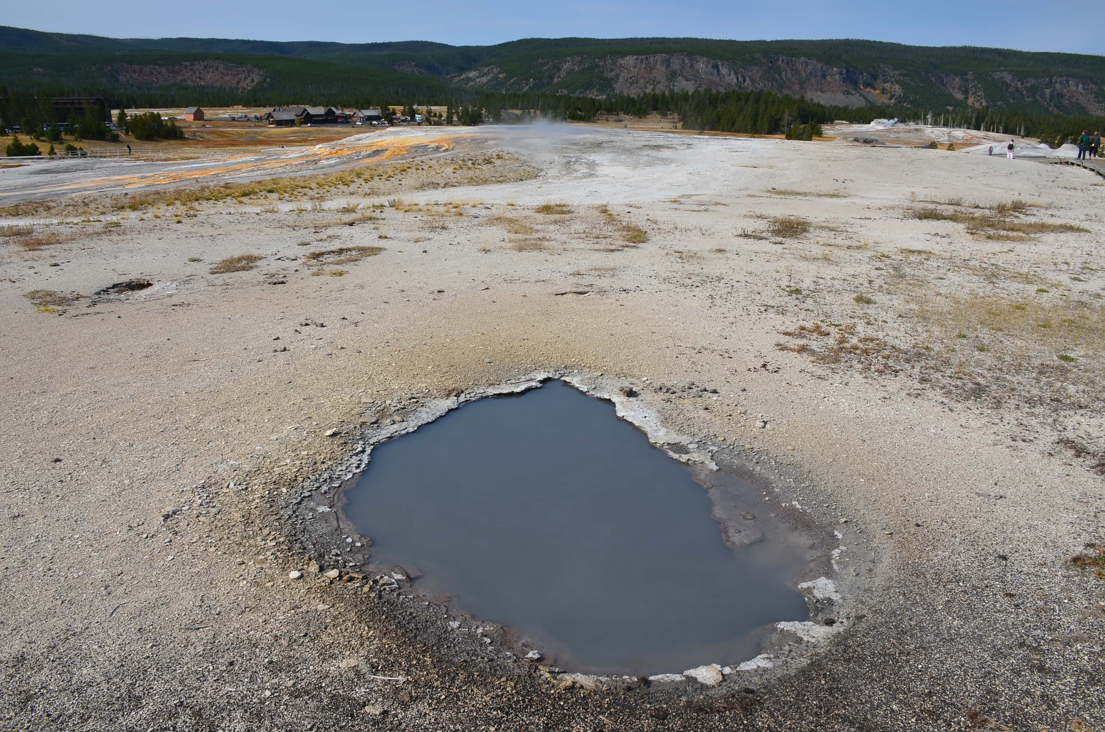 Infant Geyser on Geyser Hill at the Upper Geyser Basin in Yellowstone National Park, Wyoming