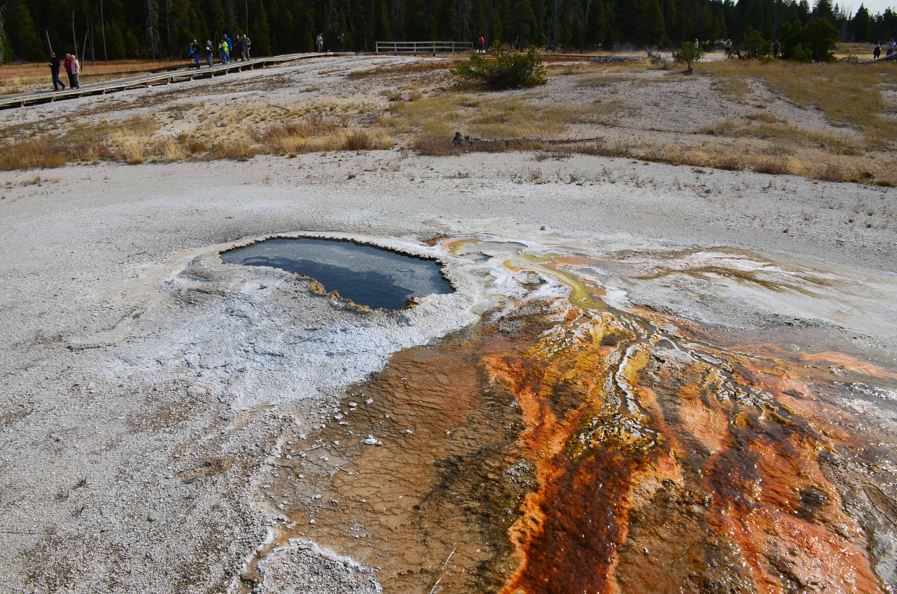Ear Spring on Geyser Hill at the Upper Geyser Basin in Yellowstone National Park, Wyoming