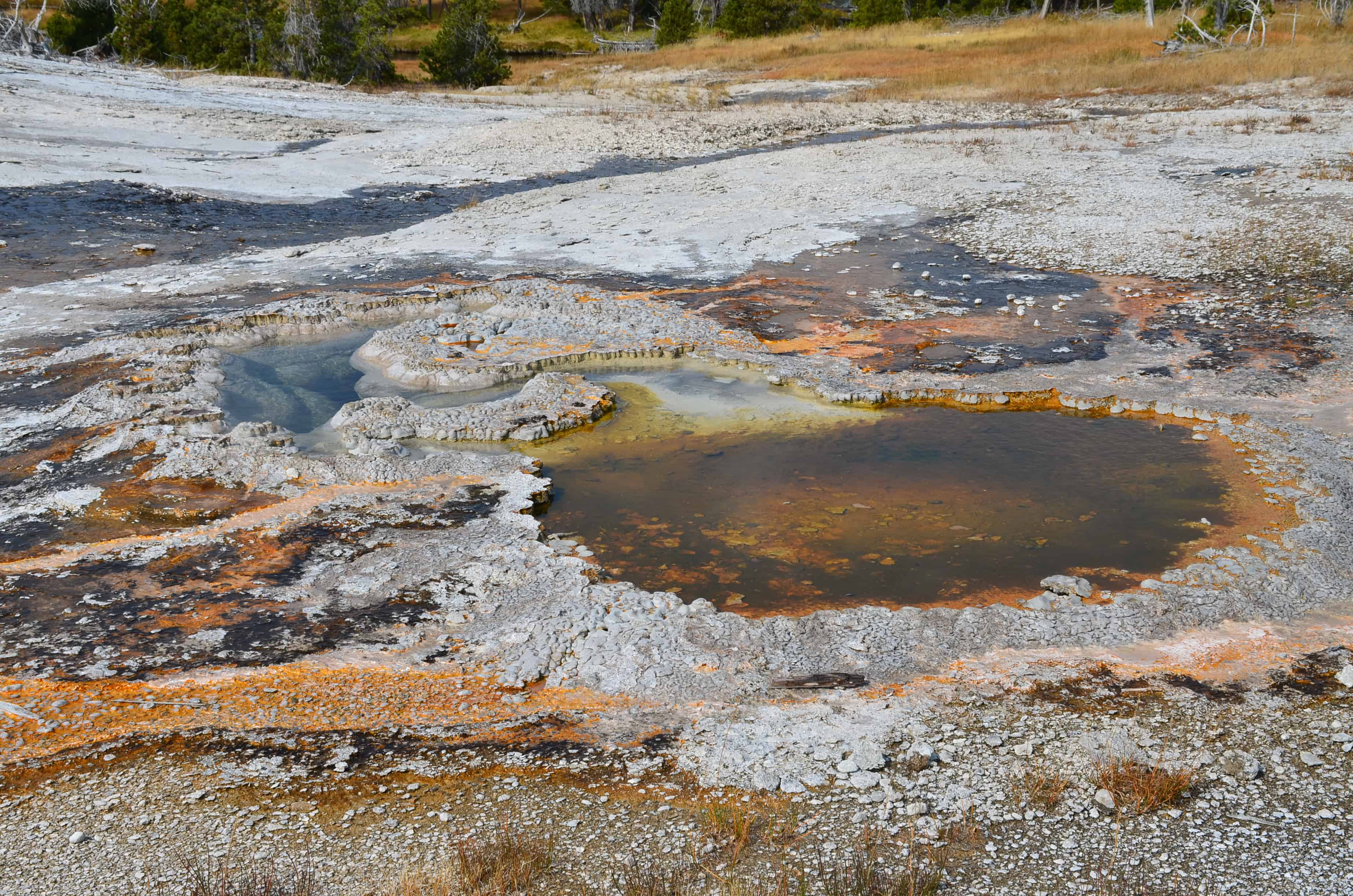 Goggles Spring on Geyser Hill at the Upper Geyser Basin in Yellowstone National Park, Wyoming