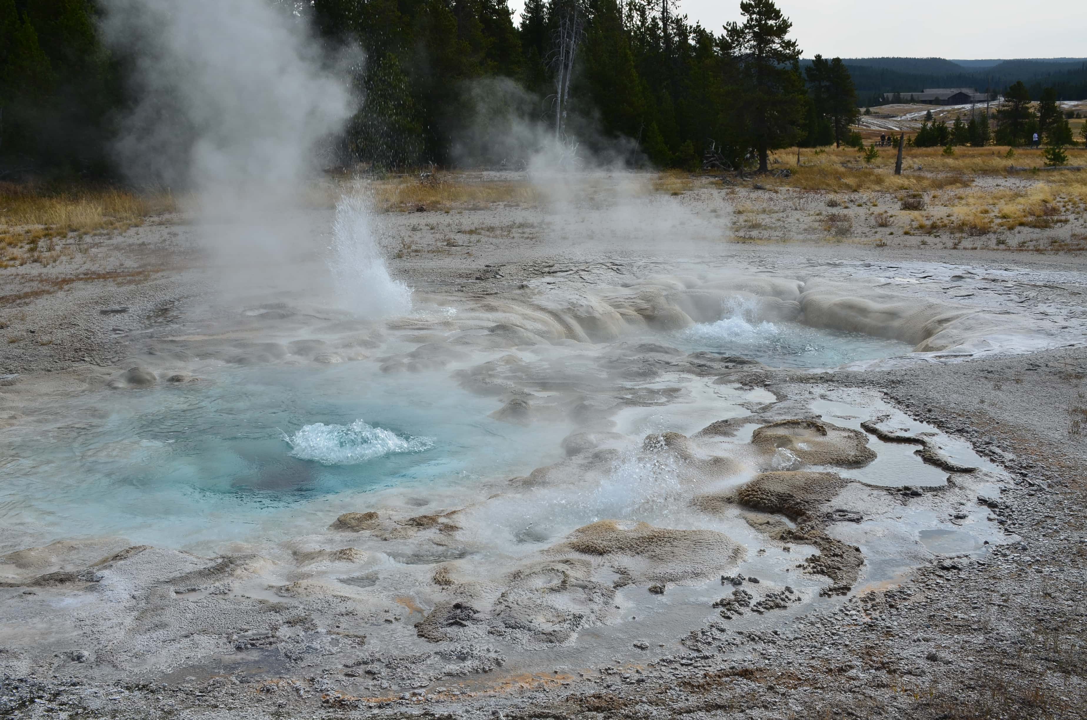 Spasmodic Geyser at the Upper Geyser Basin in Yellowstone National Park, Wyoming