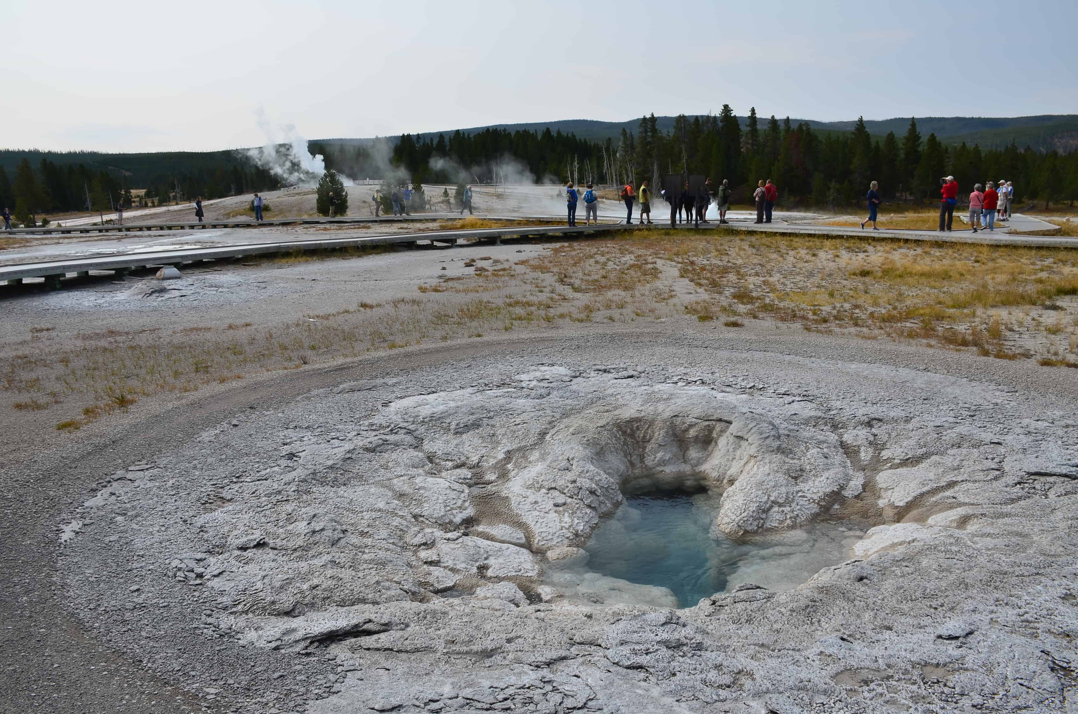 Oval Spring at the Upper Geyser Basin in Yellowstone National Park, Wyoming