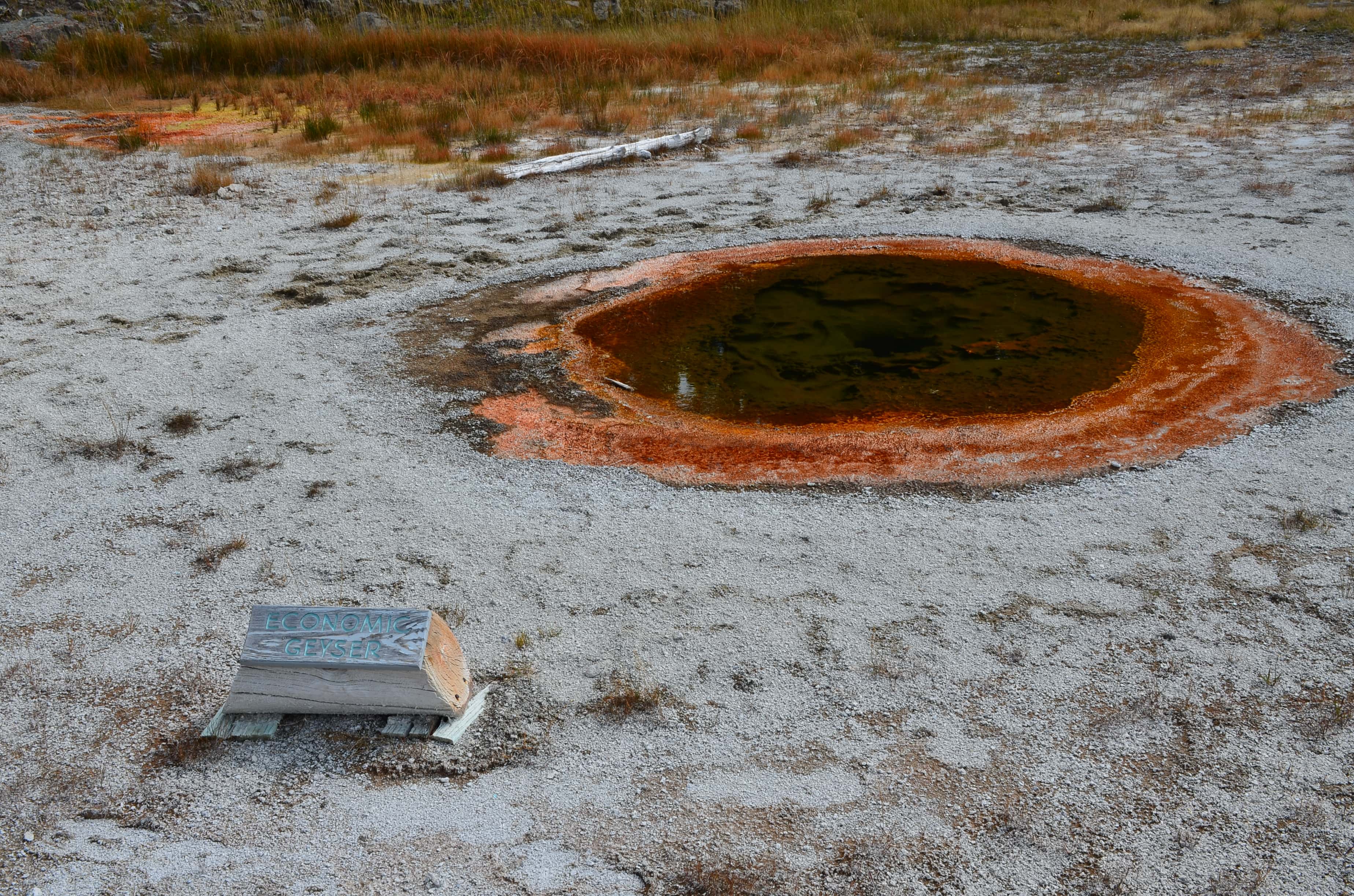 Economic Geyser at the Upper Geyser Basin in Yellowstone National Park, Wyoming
