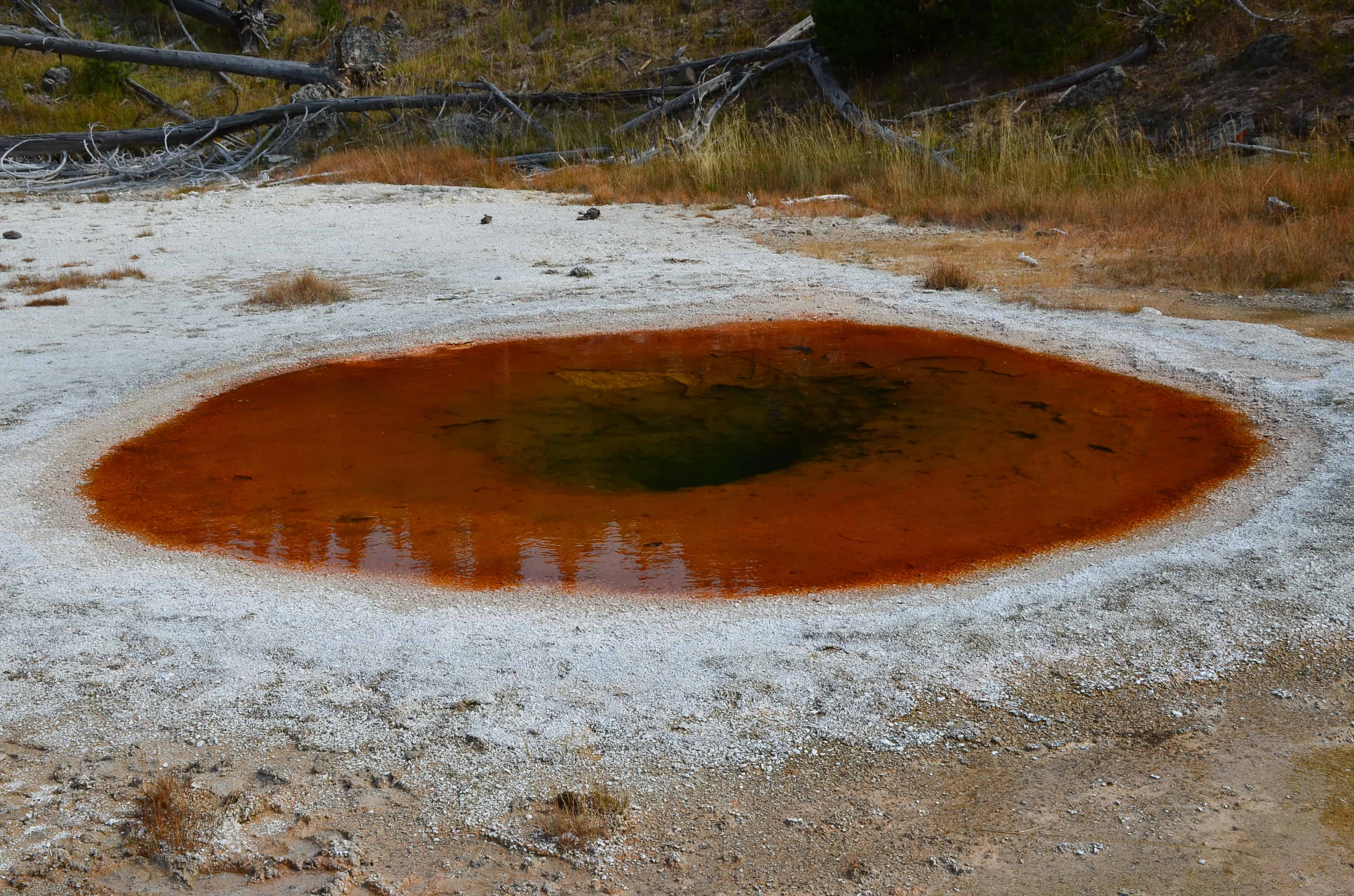 Wave Spring at the Upper Geyser Basin in Yellowstone National Park, Wyoming