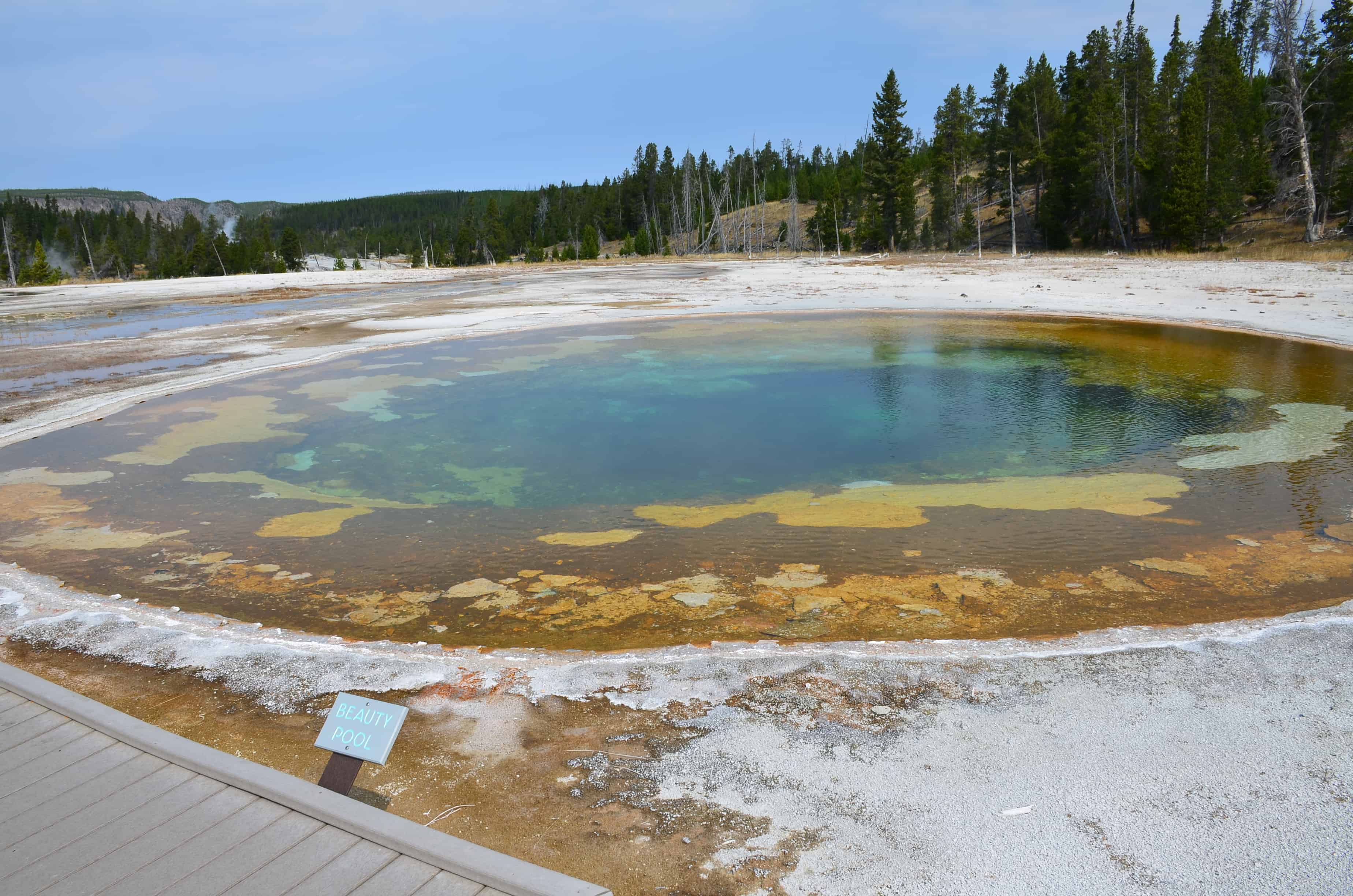Beauty Pool at the Upper Geyser Basin in Yellowstone National Park, Wyoming