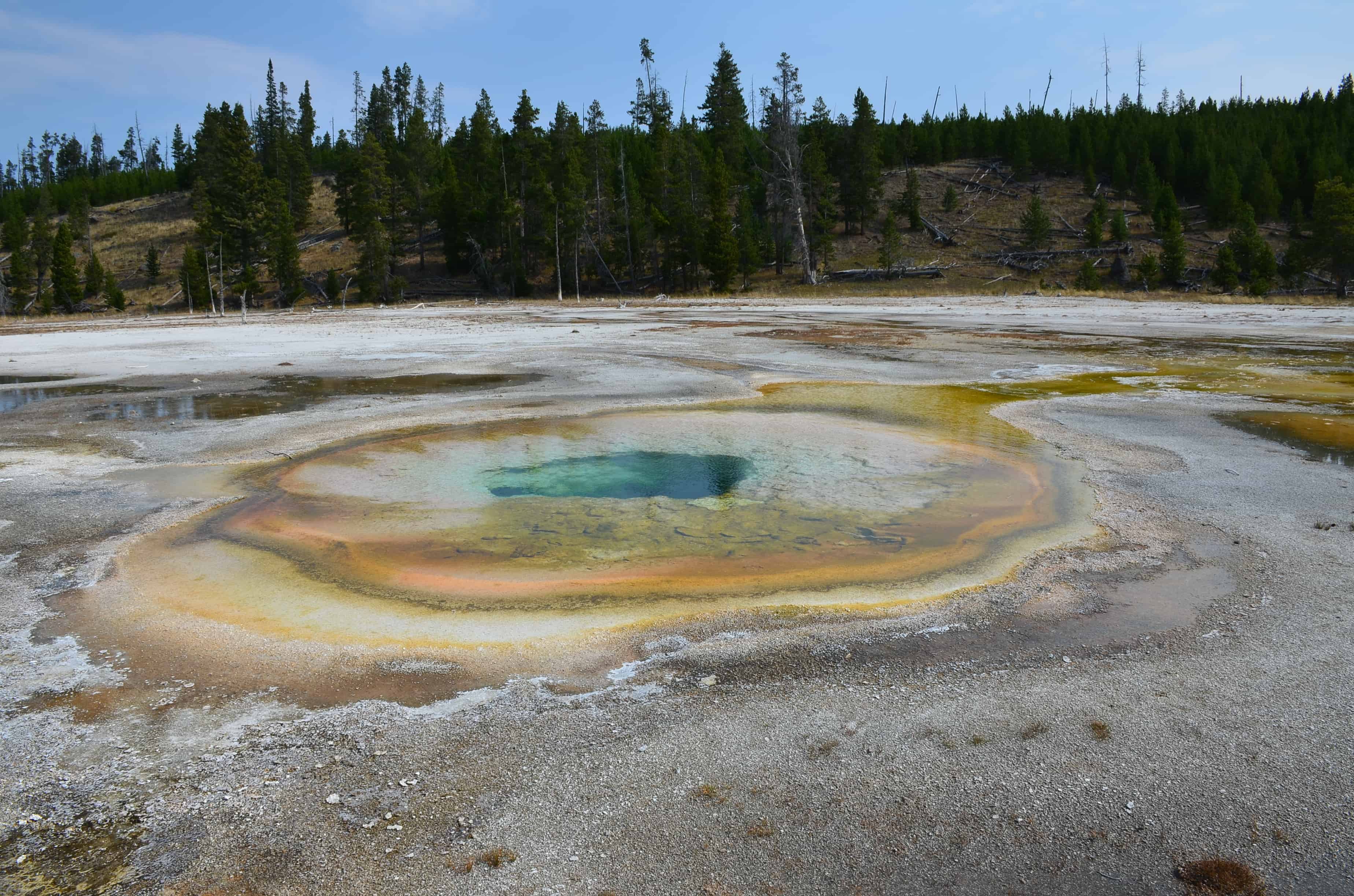 Chromatic Pool at the Upper Geyser Basin in Yellowstone National Park, Wyoming