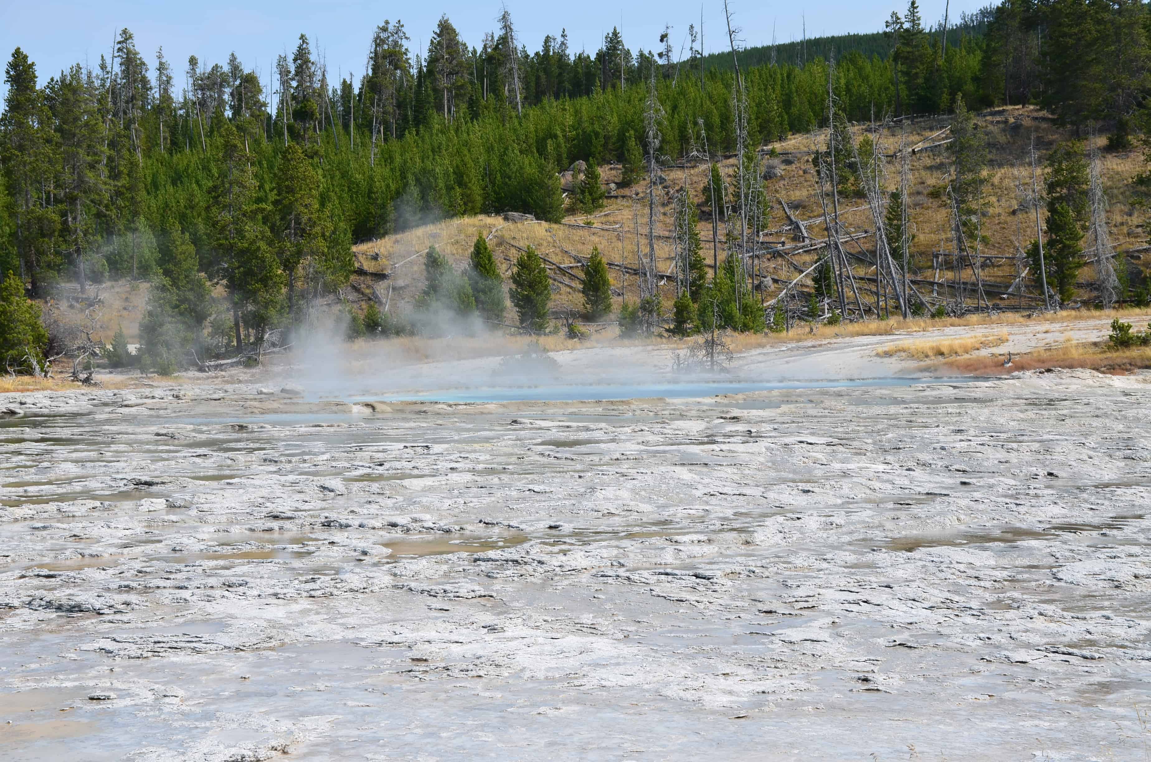 Oblong Geyser at the Upper Geyser Basin in Yellowstone National Park, Wyoming