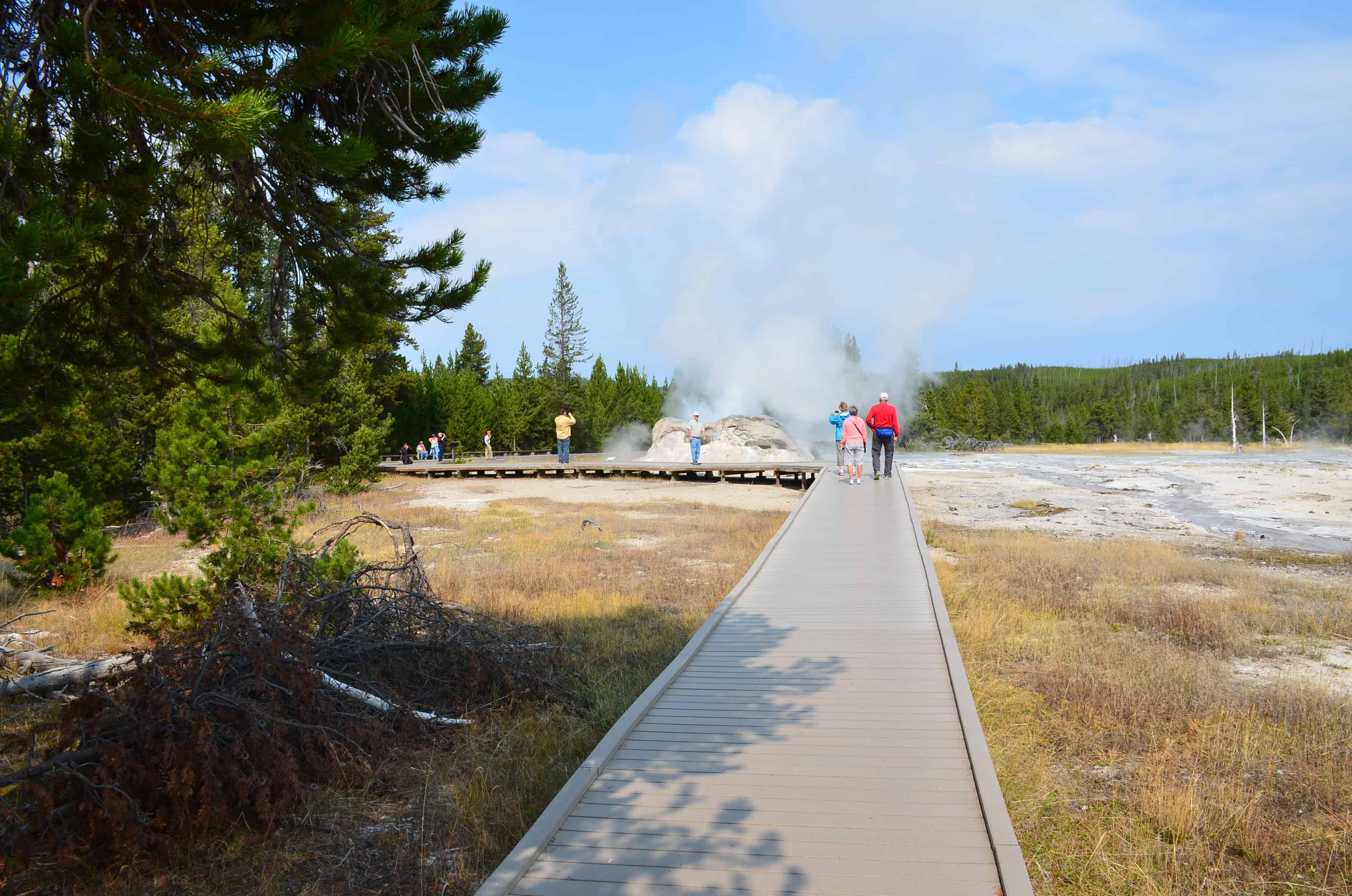 Path to Grotto Group at the Upper Geyser Basin in Yellowstone National Park, Wyoming