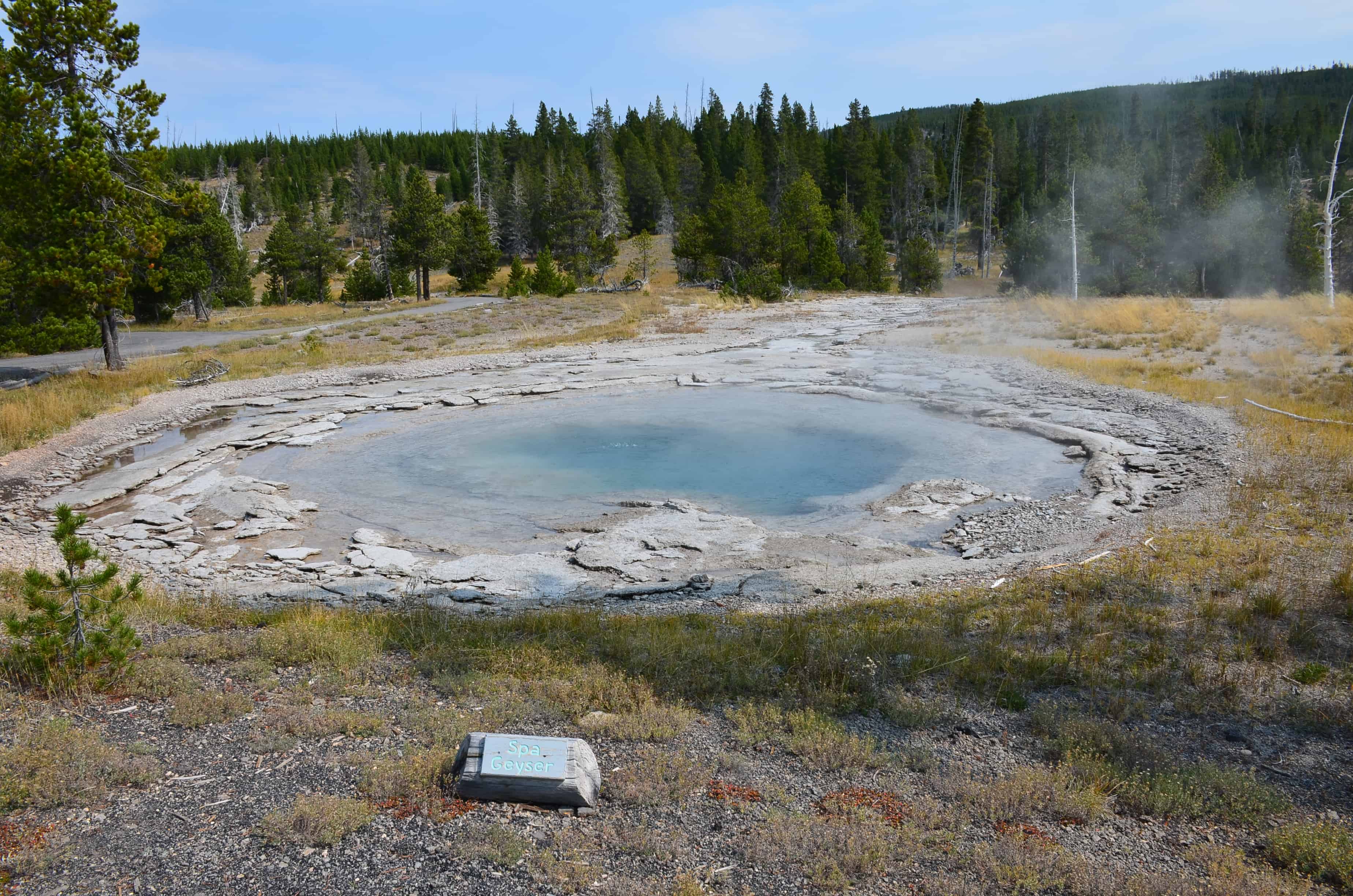 Spa Geyser at the Upper Geyser Basin in Yellowstone National Park, Wyoming