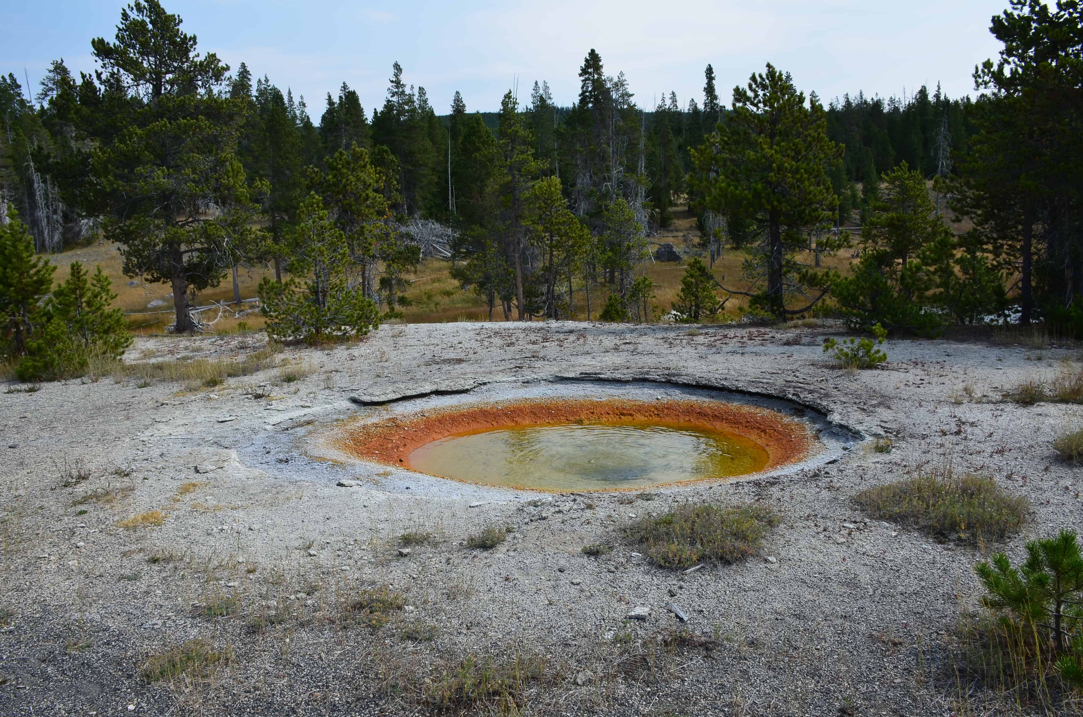 Marathon Pool at the Upper Geyser Basin in Yellowstone National Park, Wyoming