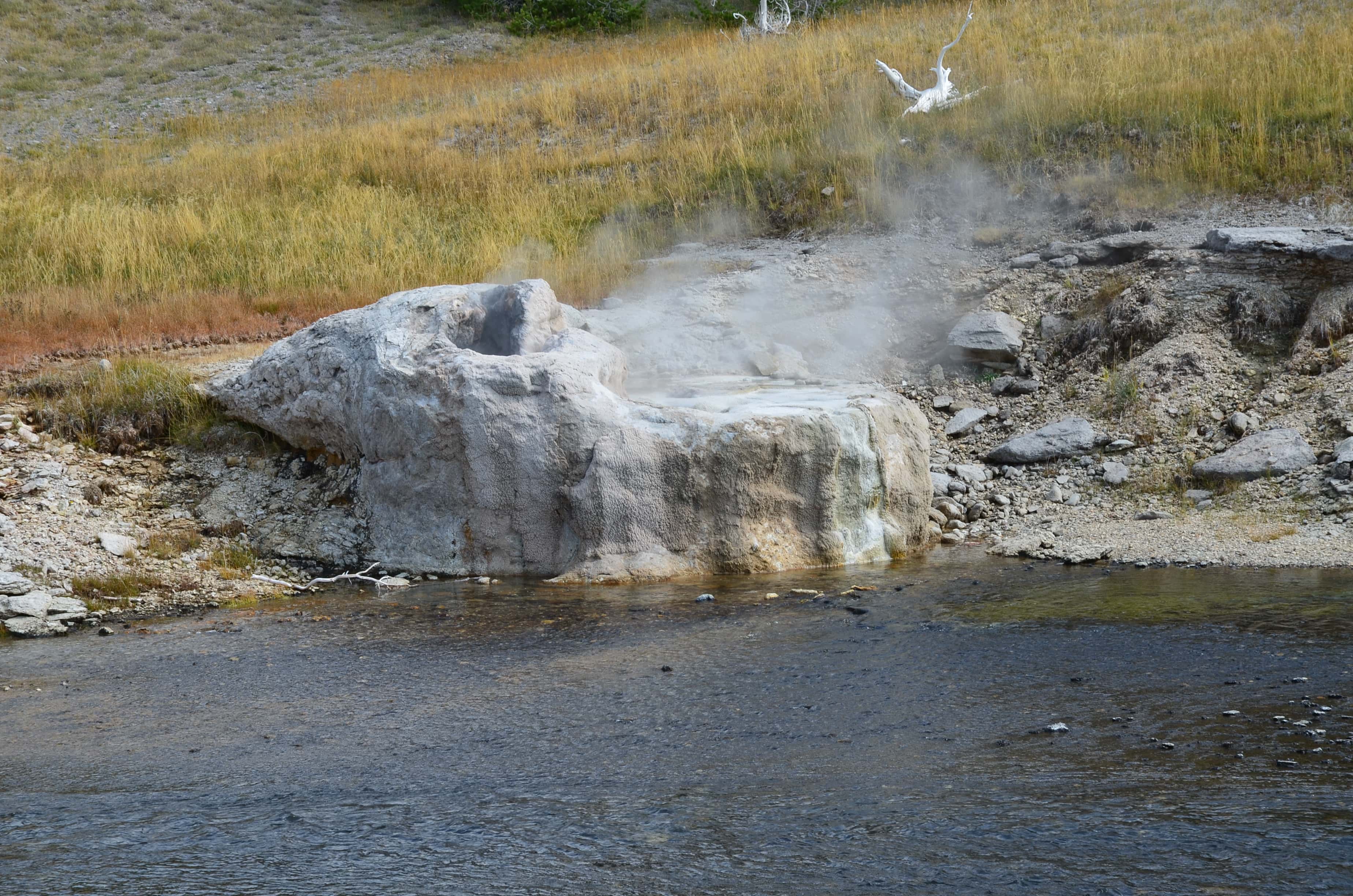 Riverside Geyser at the Upper Geyser Basin in Yellowstone National Park, Wyoming