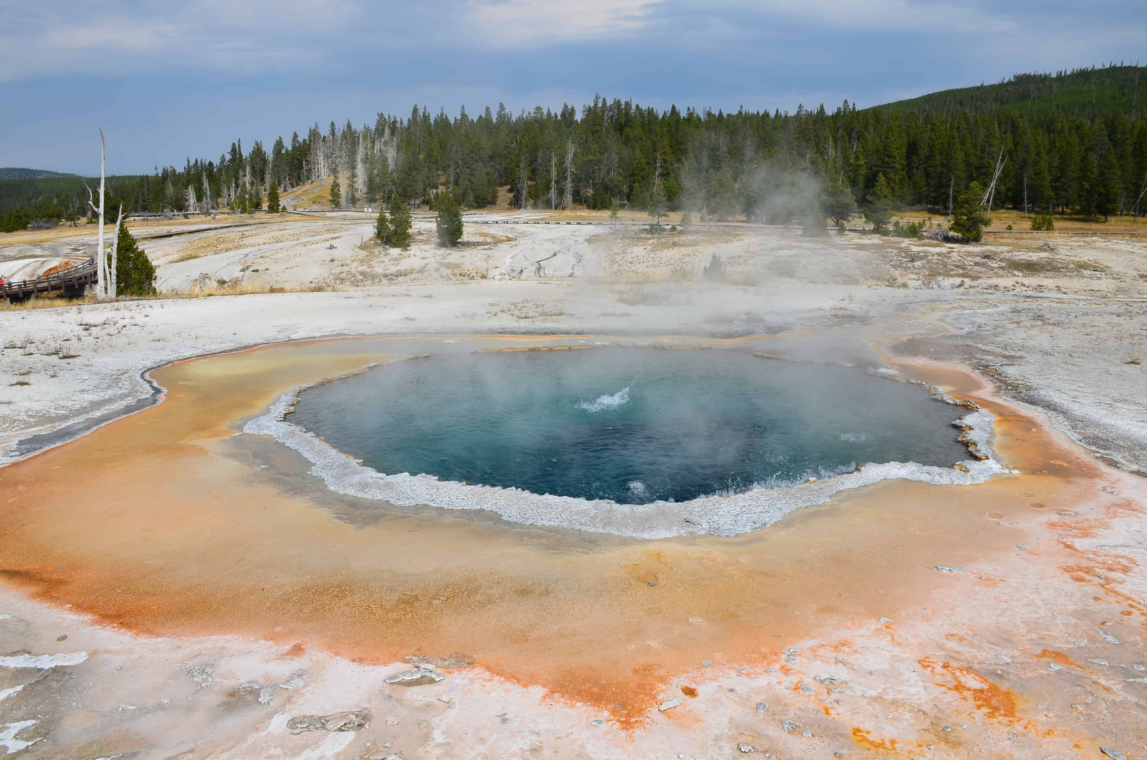 Crested Pool at the Upper Geyser Basin in Yellowstone National Park, Wyoming