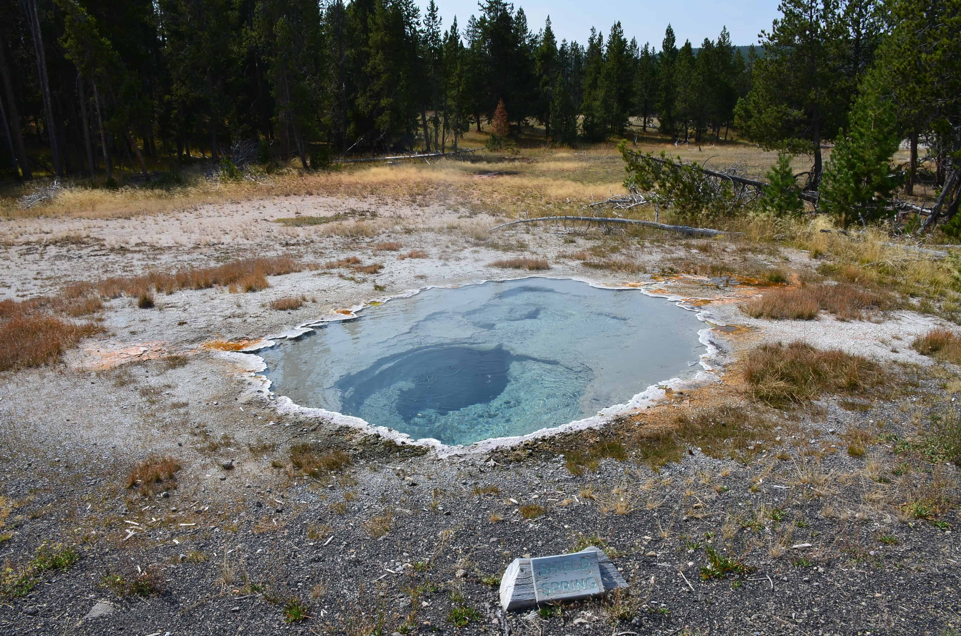 Shield Spring at the Upper Geyser Basin in Yellowstone National Park, Wyoming