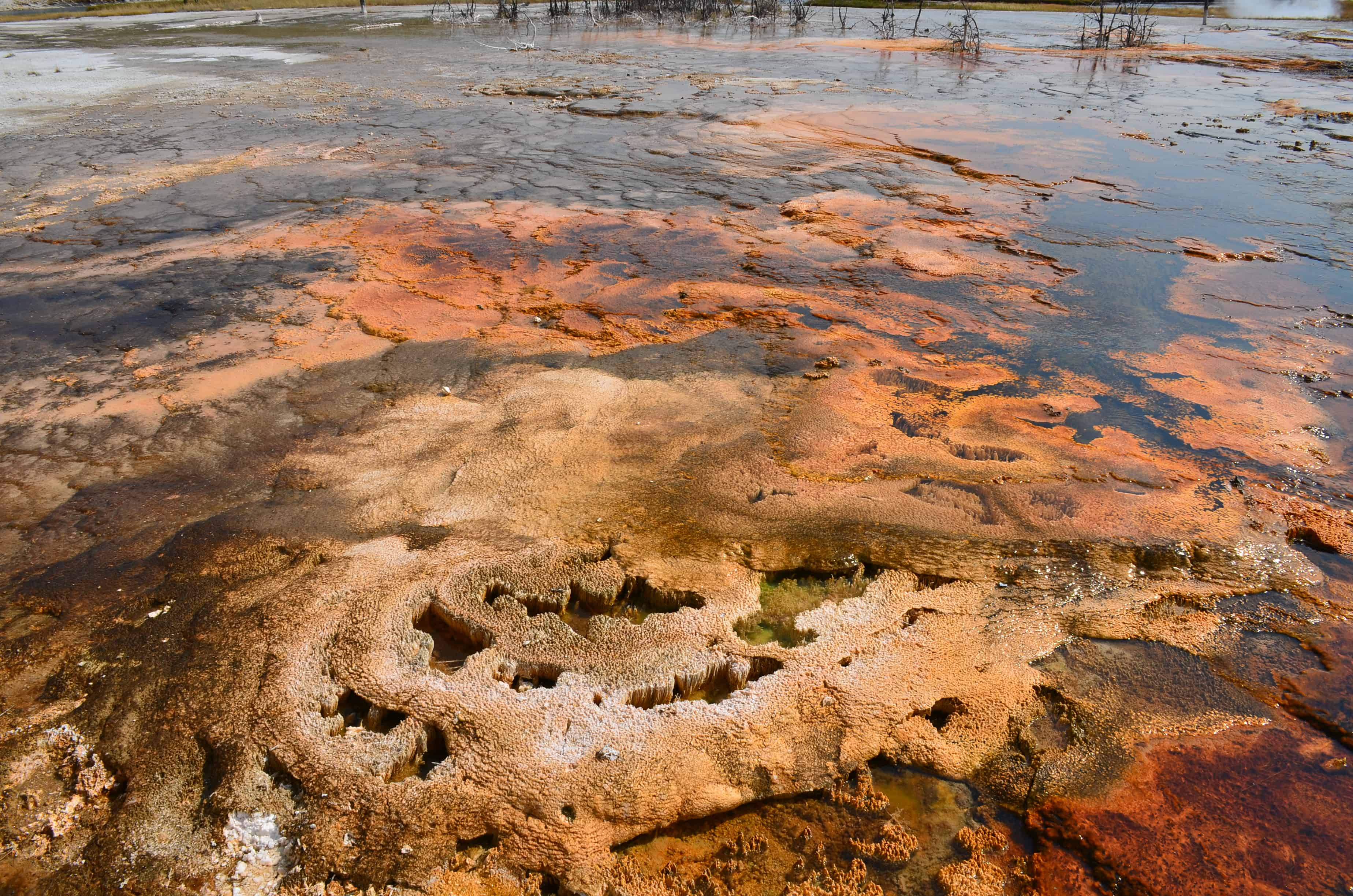 Biscuit Basin at the Upper Geyser Basin at Yellowstone National Park, Wyoming