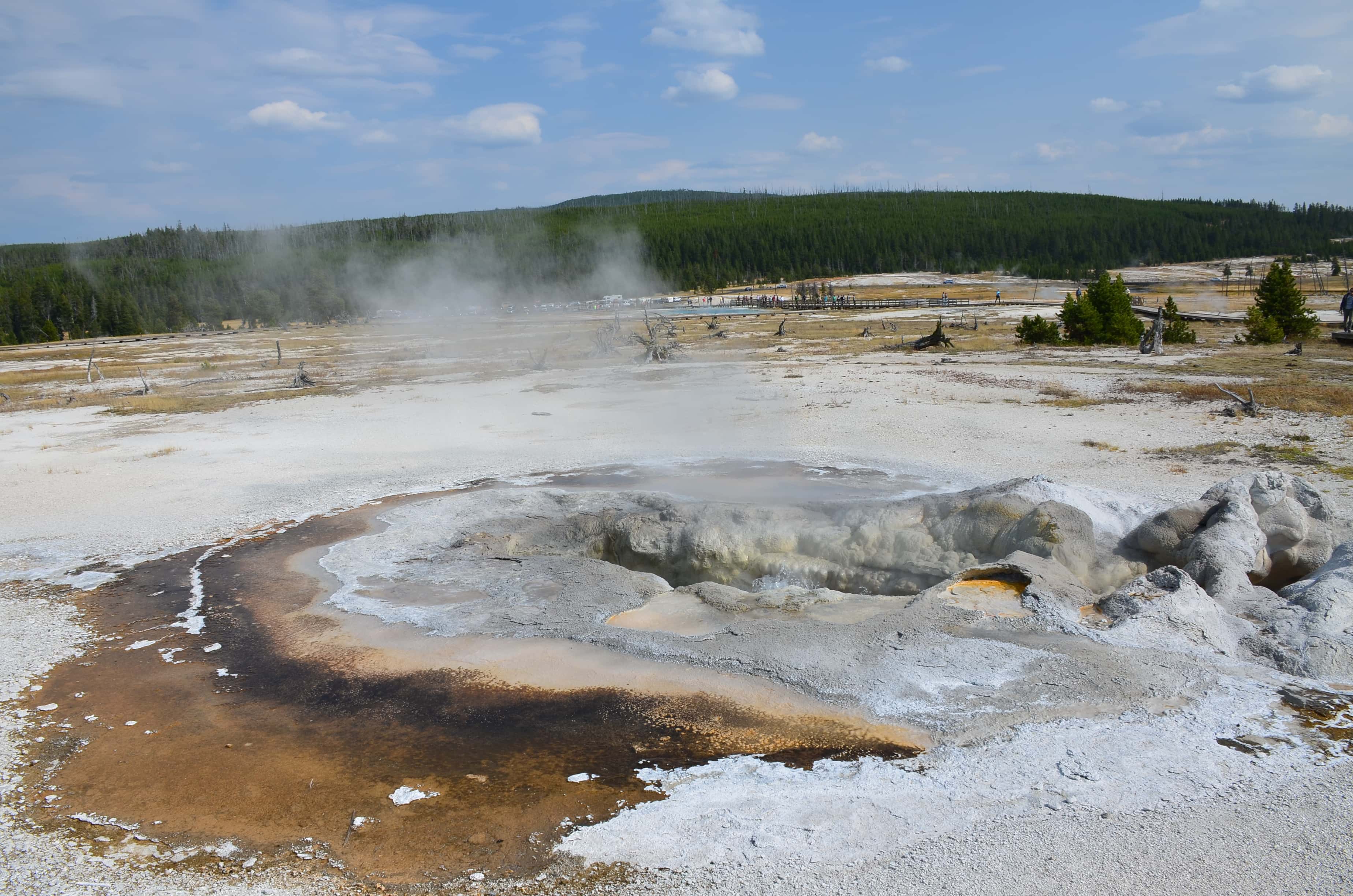 Avoca Spring at Biscuit Basin at the Upper Geyser Basin at Yellowstone National Park, Wyoming