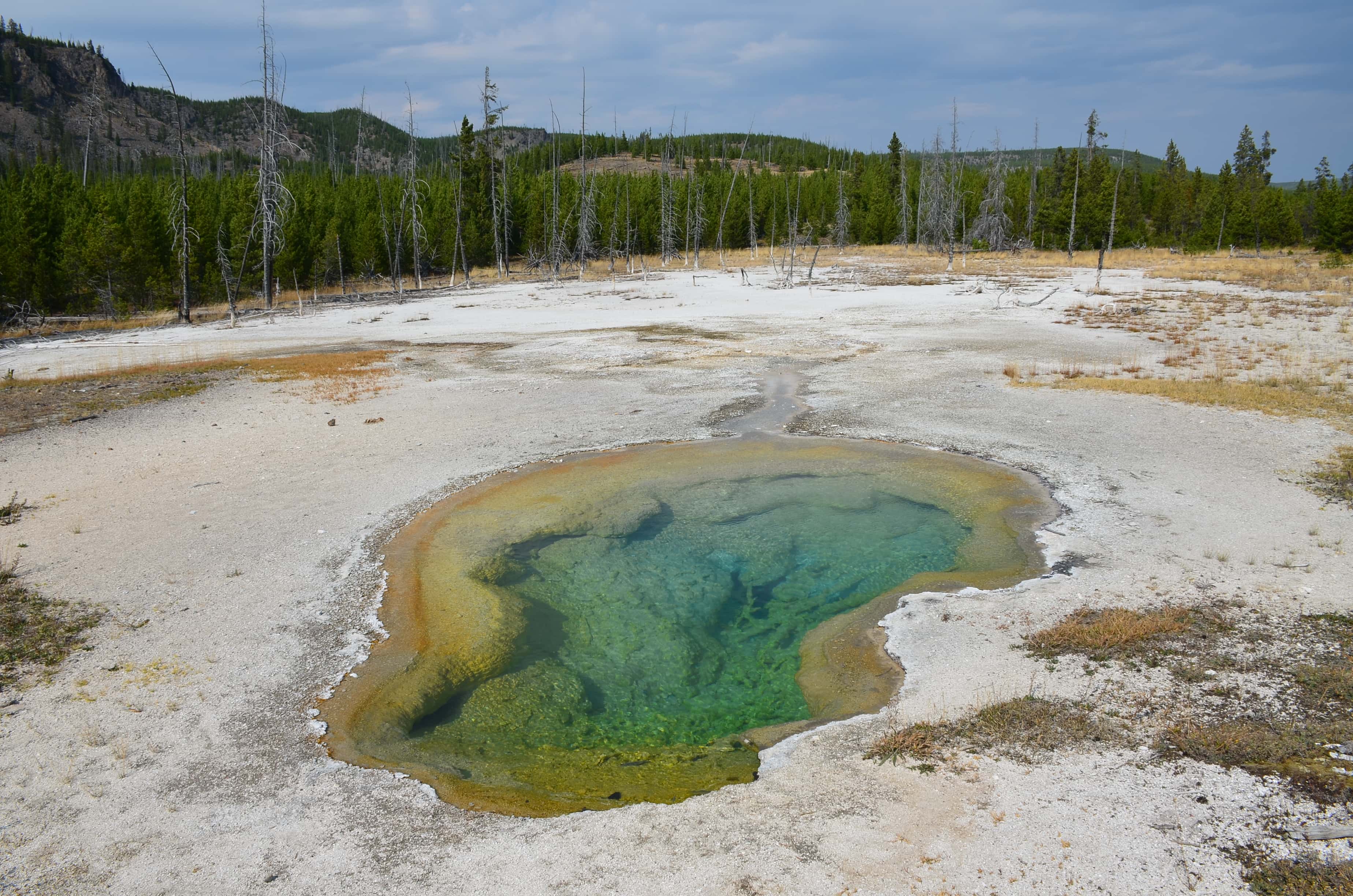 West Geyser at Biscuit Basin at the Upper Geyser Basin at Yellowstone National Park, Wyoming