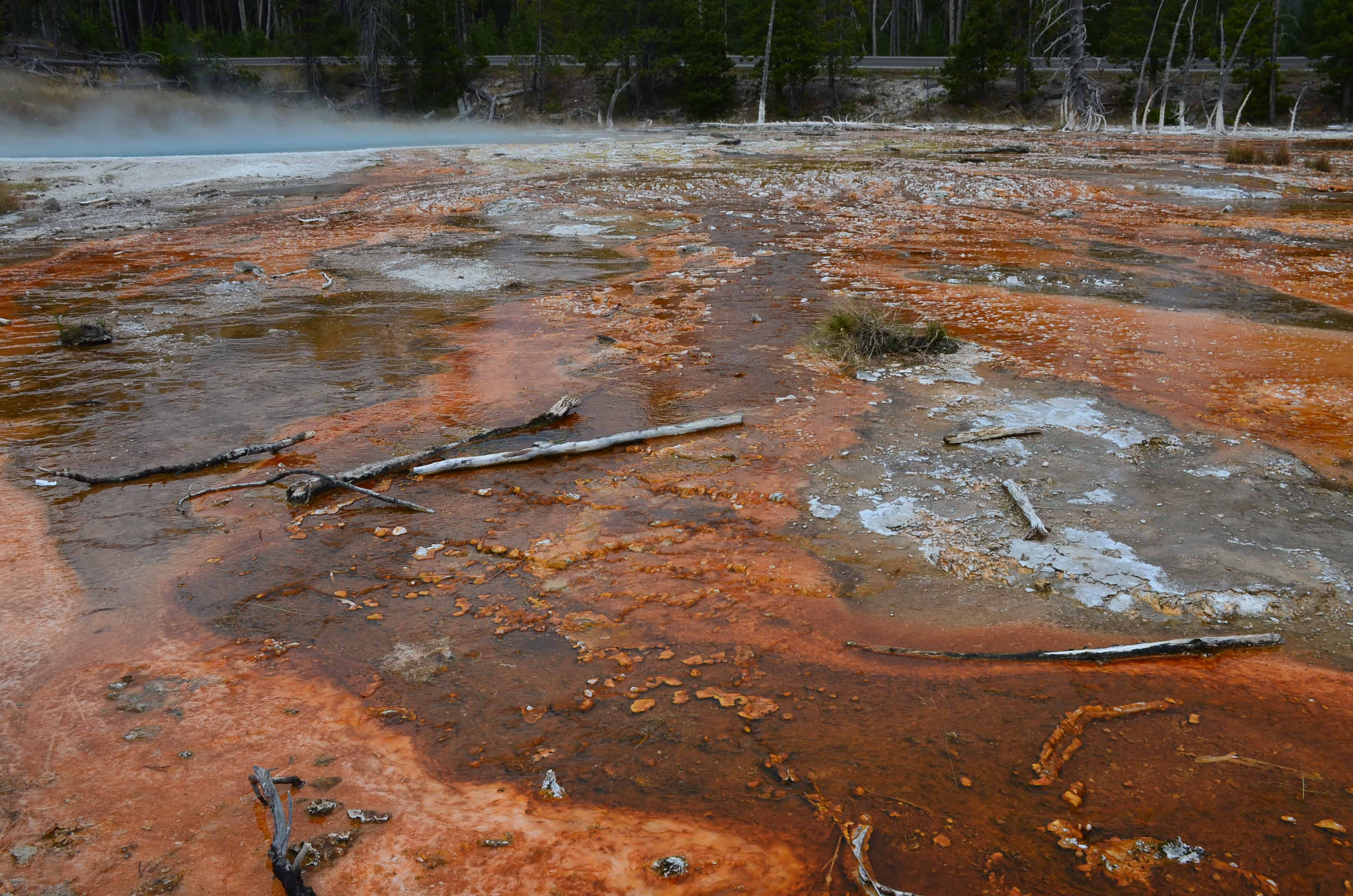 Fountain Paint Pots area at the Lower Geyser Basin in Yellowstone National Park, Wyoming