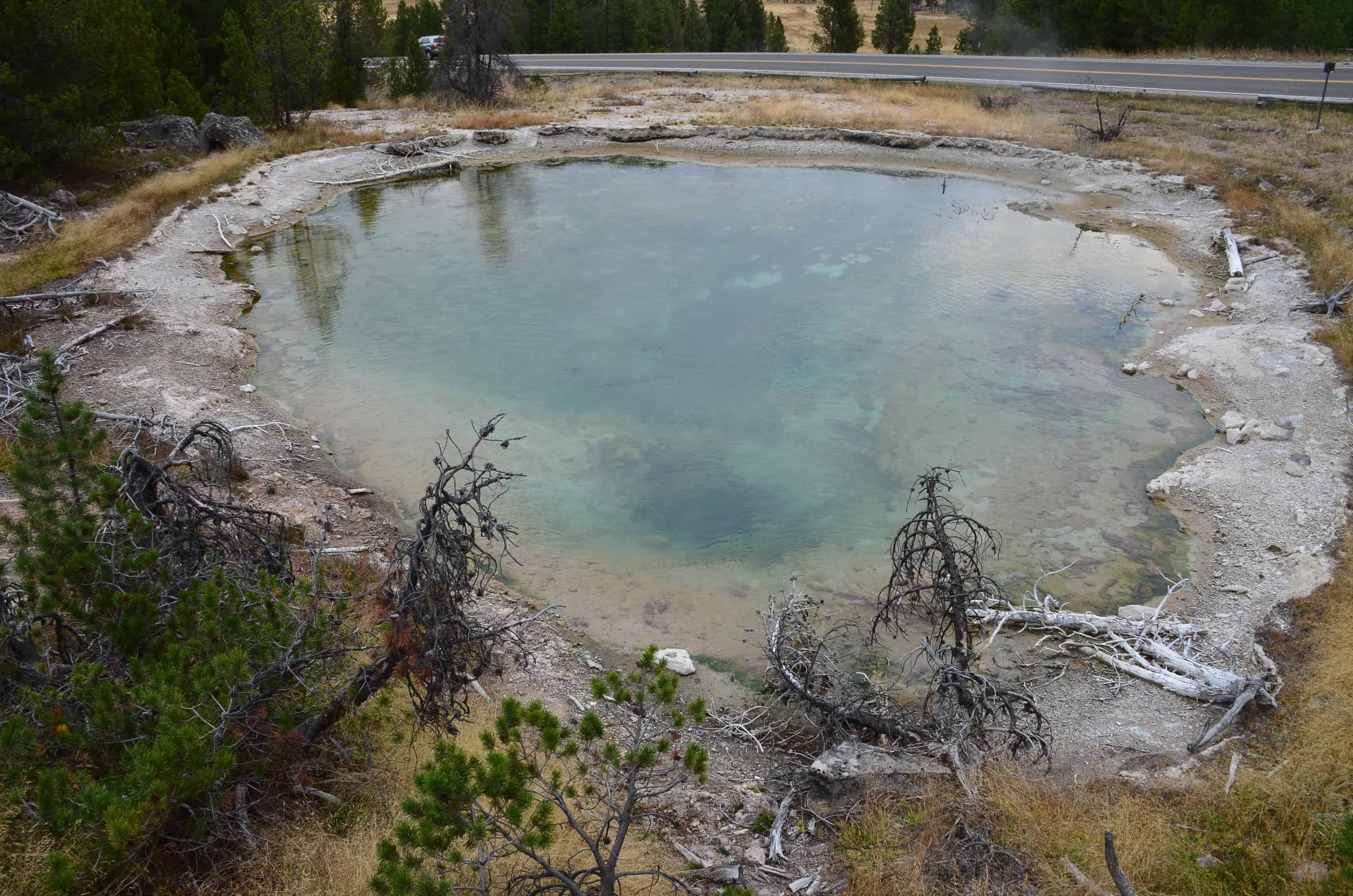 Leather Pool at the Lower Geyser Basin in Yellowstone National Park, Wyoming