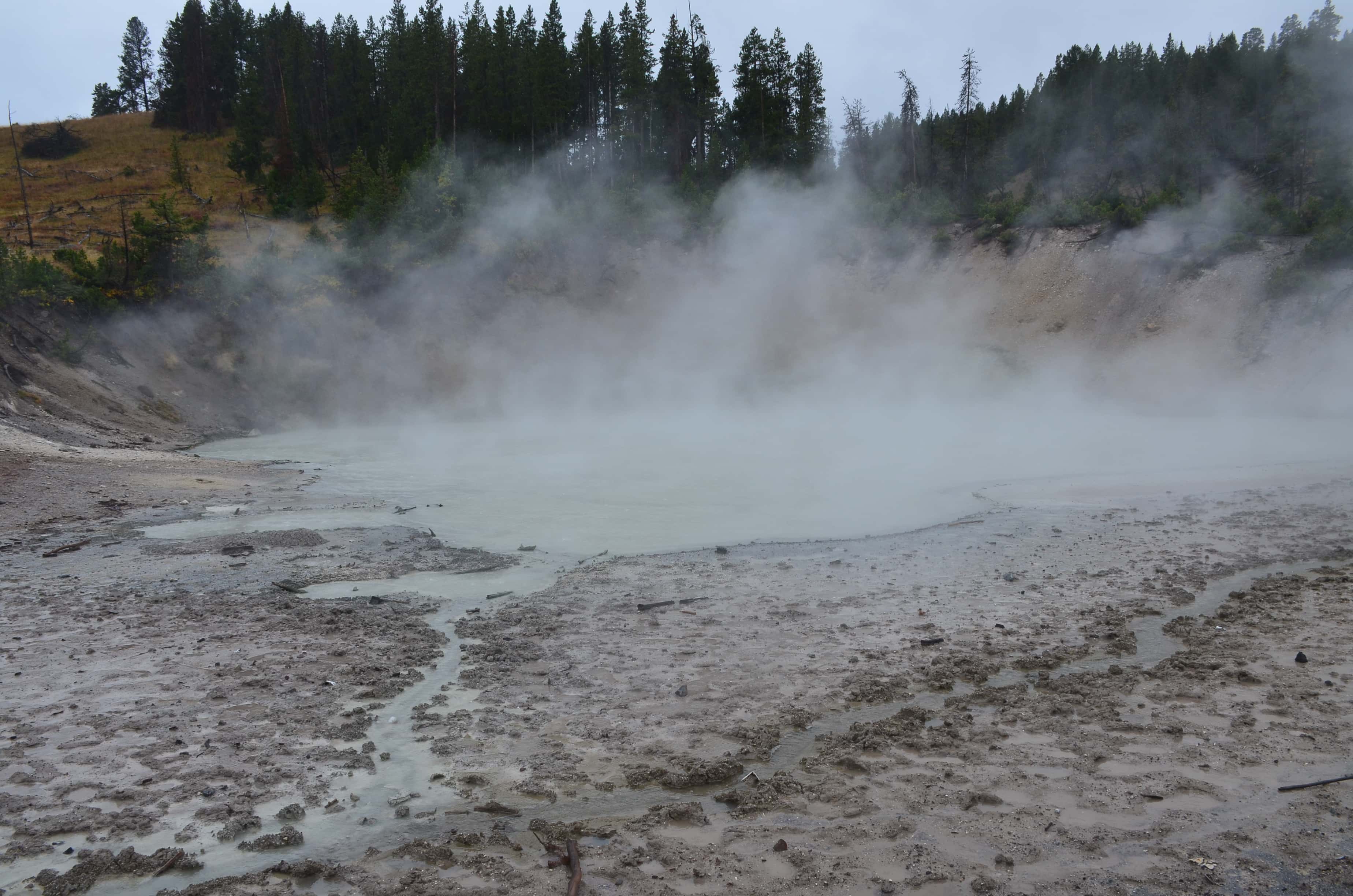 Mud Caldron at Mud Volcano Area in Yellowstone National Park, Wyoming