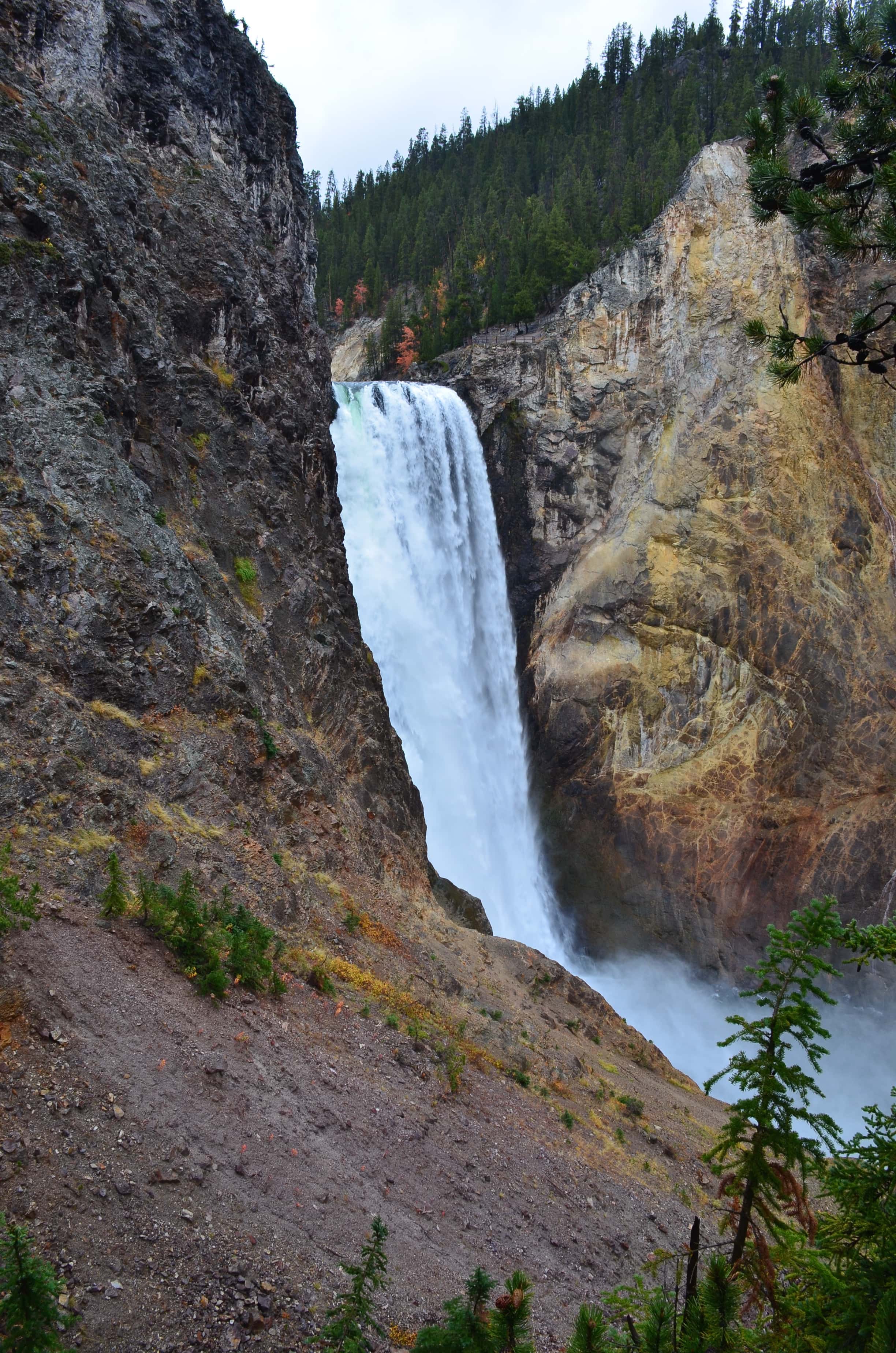 Lower Falls from Uncle Tom's Trail at Grand Canyon of the Yellowstone in Yellowstone National Park, Wyoming