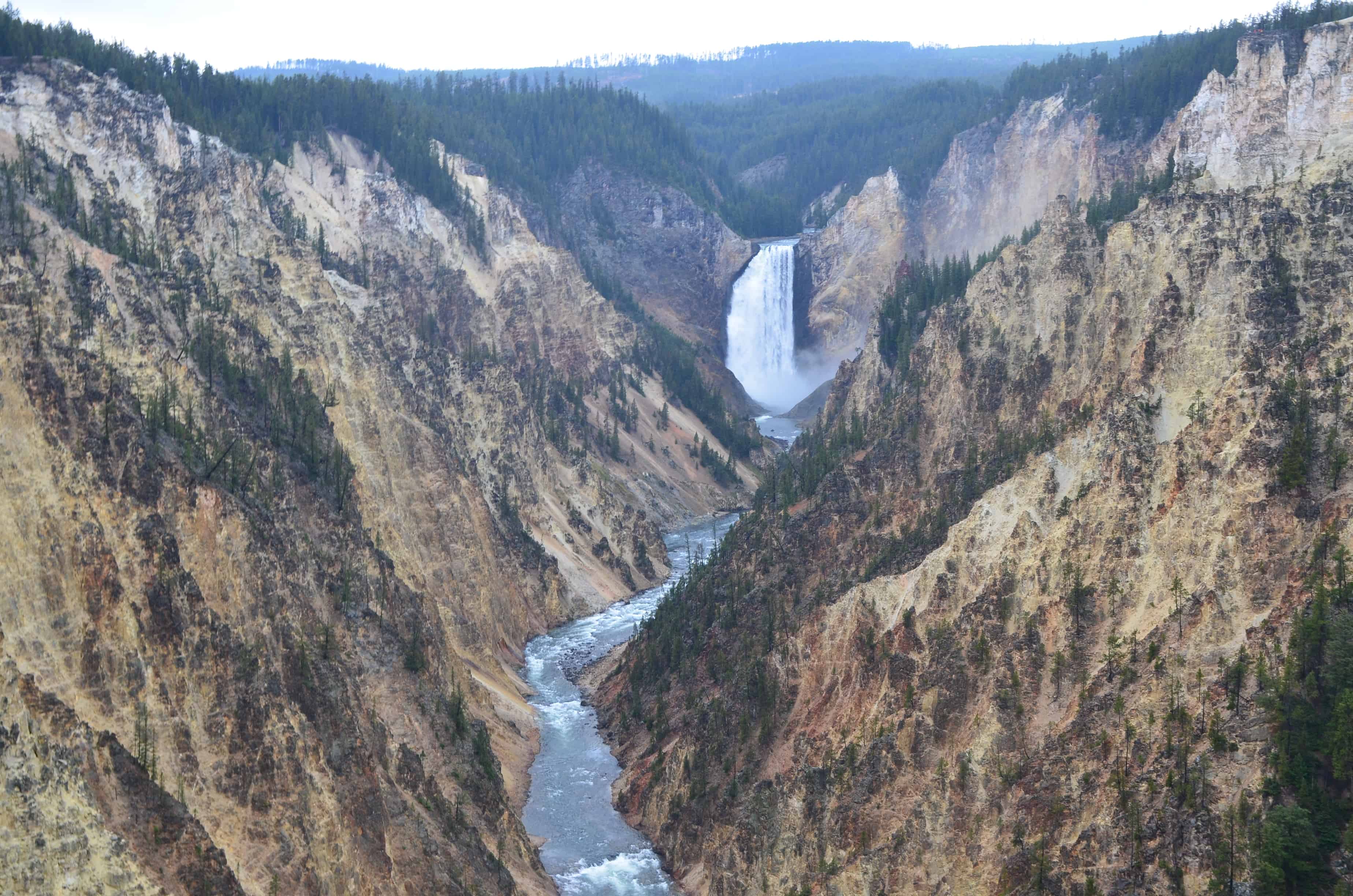 Lower Falls from Artist Point at Grand Canyon of the Yellowstone in Yellowstone National Park, Wyoming