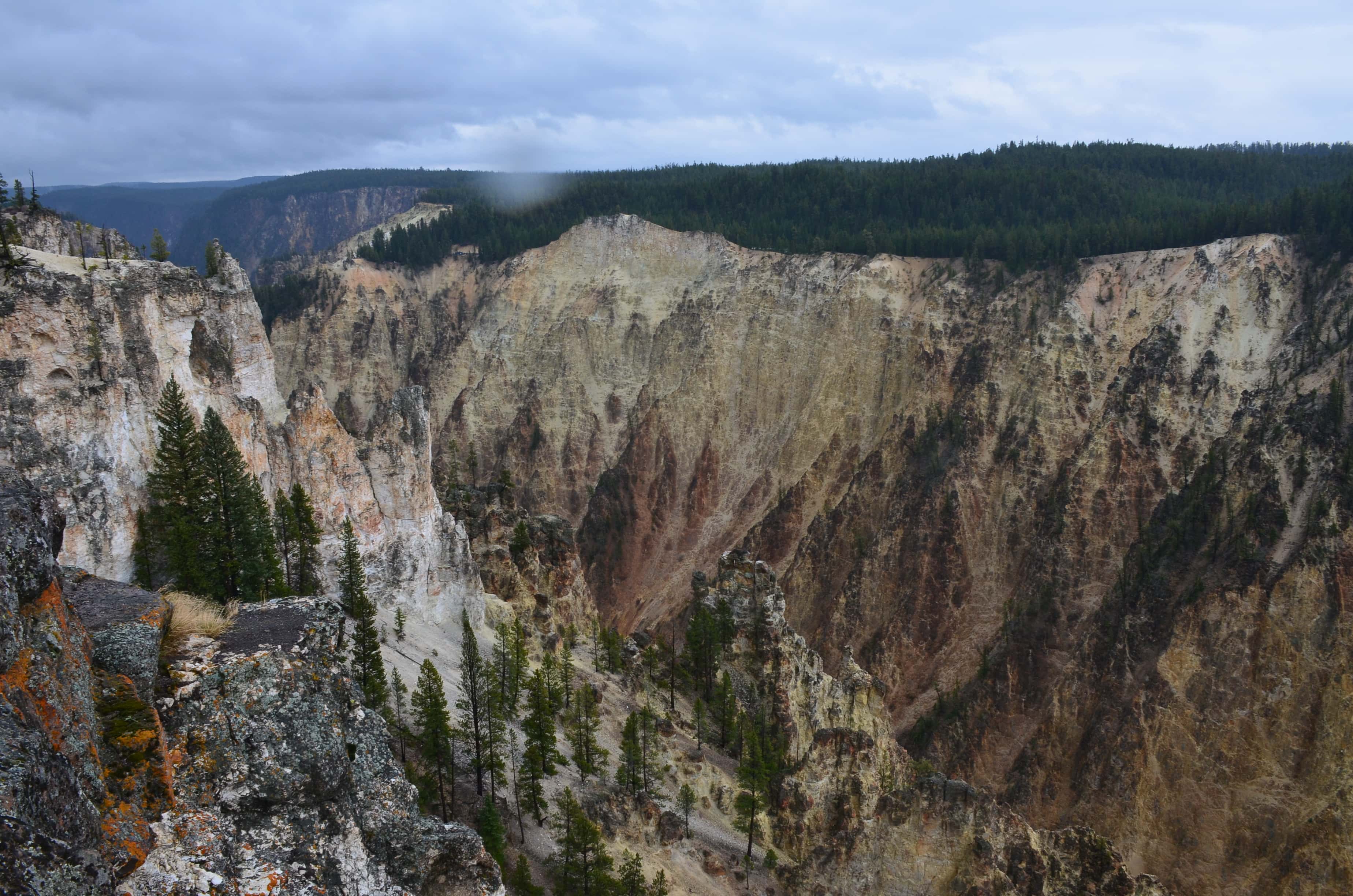Grand Canyon at Lookout Point at Grand Canyon of the Yellowstone in Yellowstone National Park, Wyoming