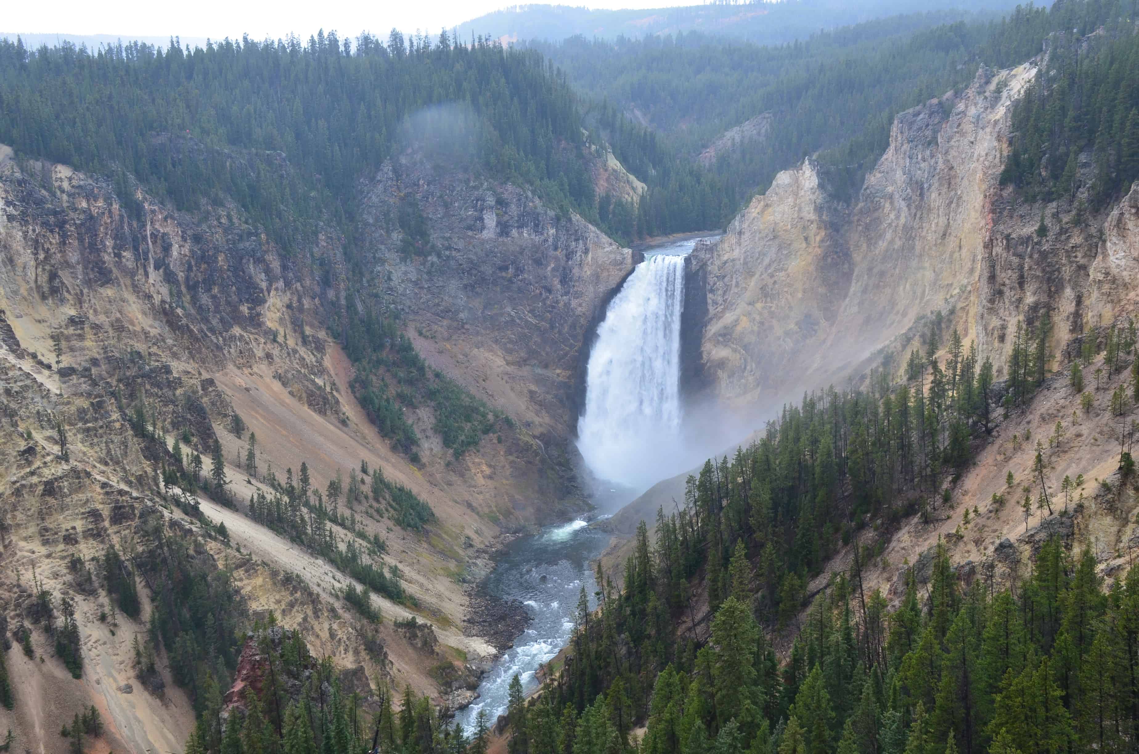 Lower Falls at Lookout Point at Grand Canyon of the Yellowstone in Yellowstone National Park, Wyoming